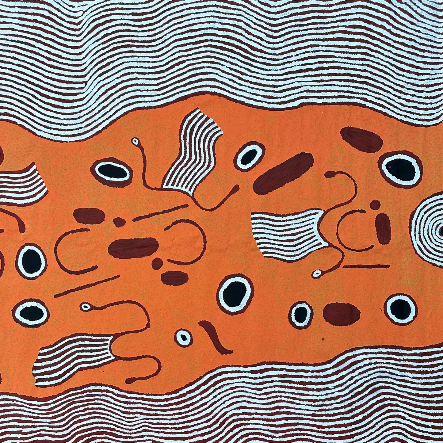 Jennifer Nginana Mitchell + Western Desert Artist + Painting + Symbolism + Iconography + Traditional Art + Aerial Artwork + Darwin Based Gallery + Indigenous Art + Aboriginal Art + Australian Art