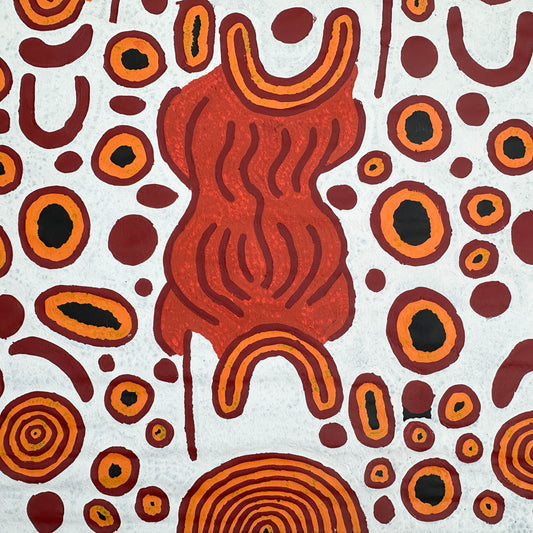 #JenniferNginanaMitchell #WesternDesert #AboriginalArt #IndigneousArt #ArtforSale #PaintingforSale #InteriorDesign #InteriorDecor #Painting #Art #Dreaming #ArtStory #DarwinNorthernTerritory #Darwin #ArtGallery #DarwinArtGallery #Canvas #ArtWork #AustralianArt #AerialPerspective #Artist #originalart #JM467#Altyerre #AltyerreAboriginalArt 