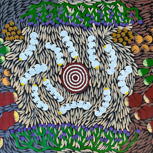 Julie Napaltjarri Dempsey Bush Tucker Papunya Aboriginal Art Indigenous Art Australian Art Bush Food Painting Dot Art