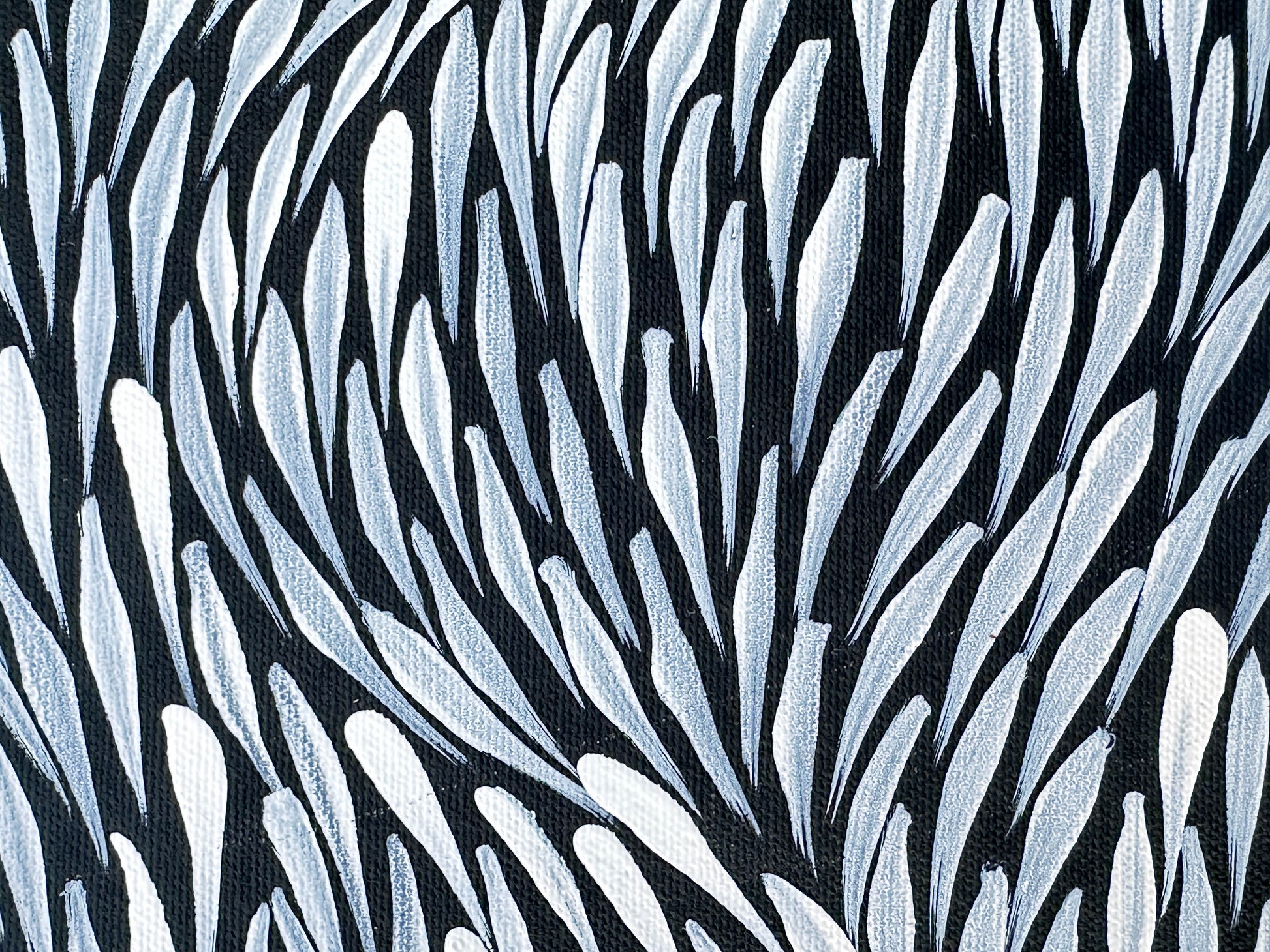 Jeannie Pitjara Petyarre + black and white + monochromatic + bush medicine leaves + utopia + art work + art for sale + painting for sale + indigenous art + aboriginal art + australian art + famous artist + home decor + interior designer + interior decor + decor + wall art + online gallery + art gallery + art of the day + darwin based gallery + family owned business + altyerre + altyerre aboriginal art + bush medicine