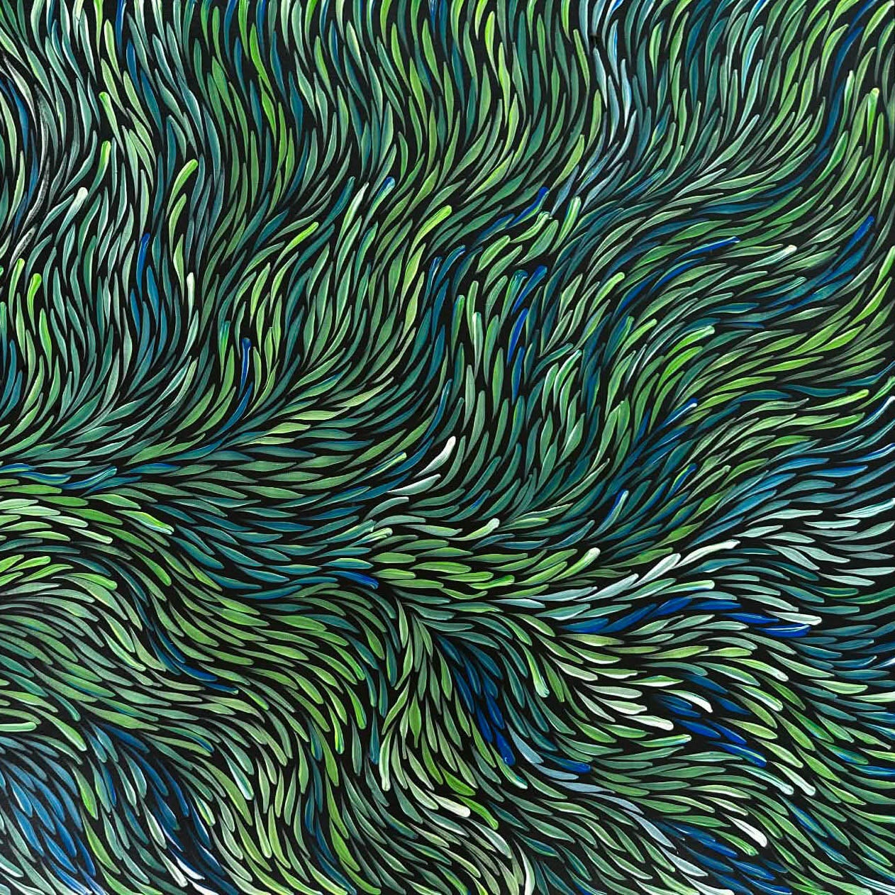 
#jeanniepitjara #jeanniepetyarre #bushmedicineleaves #contemporaryart #aboriginalart #indigenousart #australianart #art #artwork #artforsale #painting #paintingforsale #wallart #artgallery #darwinbasedgallery #northernterritory #artstory #knowledge #decor #interiordecor #interiordesign #office #officedecor #artlover #artcollector #famousartist #dreamings #altyerreaboriginalart #bushmedicine #familybusiness #movement #hypnotic 
