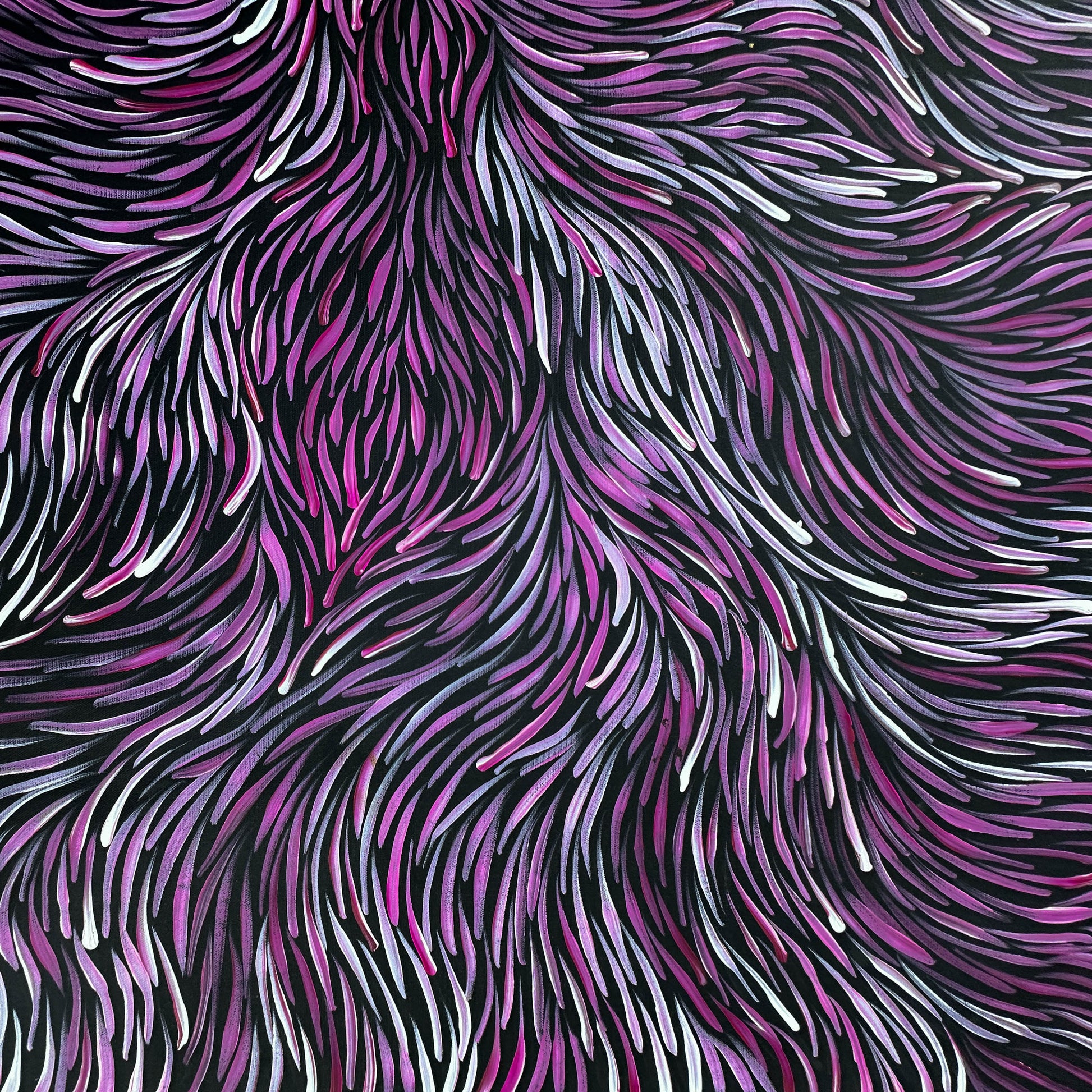 Jeannie Petyarre Pitjara, Bush Medicine Leaves, Bush Yam, Body Paint, Awelye, Bush Seeds, contemporary art, aboriginal art, indigenous art for sale, Australian art, art collector, altyerre aboriginal art, art work, art gallery, Darwin gallery, painting for sale, wall art, northern territory, alice springs, décor, interior décor, interior design, office décor, art lover, famous artist, utopian artist, dreaming, bush medicine, family business, movement, hypnotic, art storytelling, modern art, traditional art
