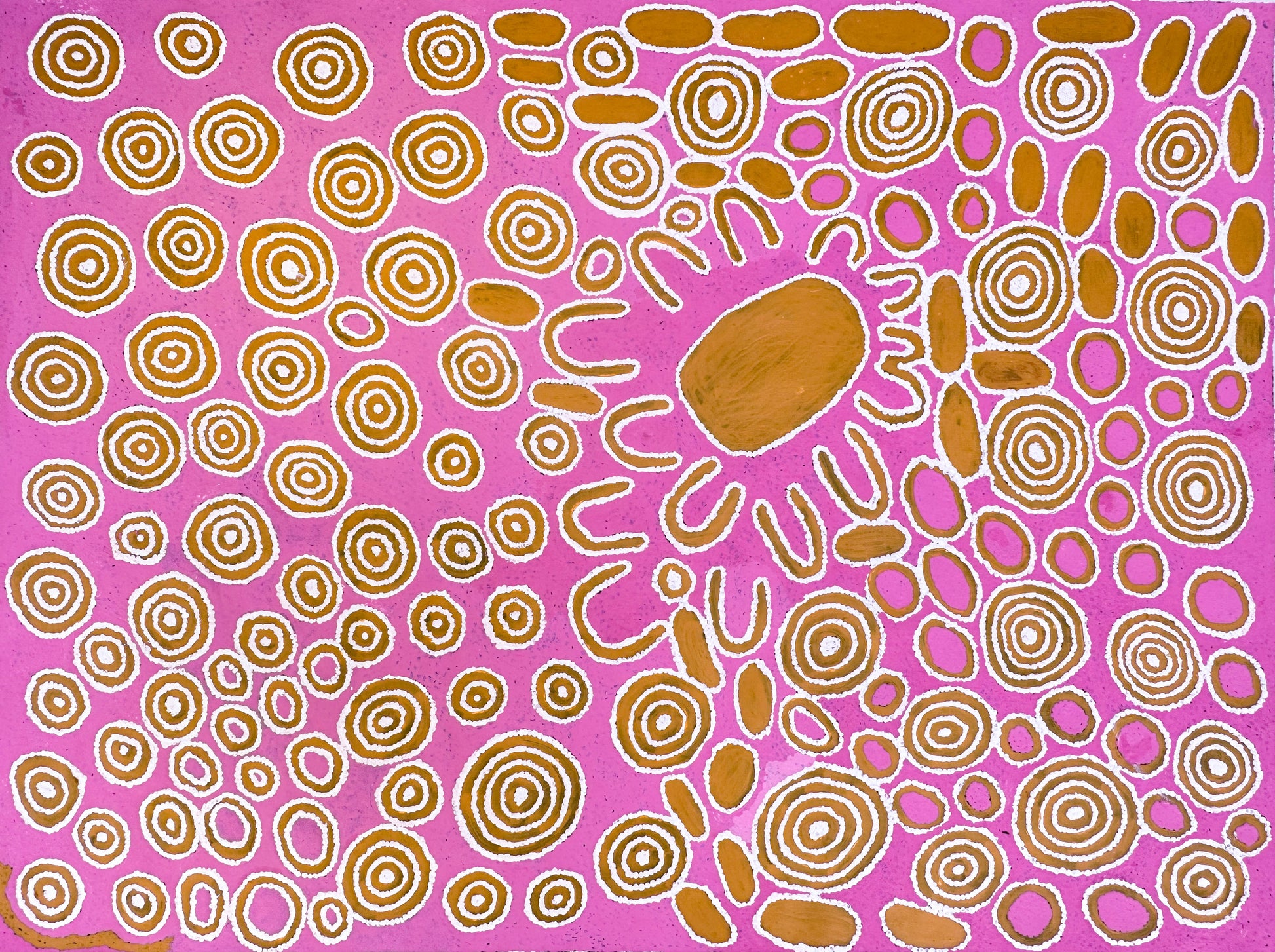 Janie Ward Nakamarra + Gibson Desert + Western Australia + My County + Indigenous Art + Aboriginal Art + Australian Art + Darwin Based Gallery + Traditional Art + Iconography + symbolism + Circles + Pink + Art Story 