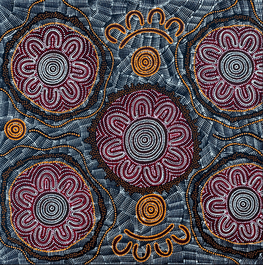 Yuenlamu Mt Allan Julianne Nungarrayi Turner Women's Ceremony Women's business iconography symbolism dot art dot painting Aboriginal Art Indigenous Art Australian Art Warlpiri