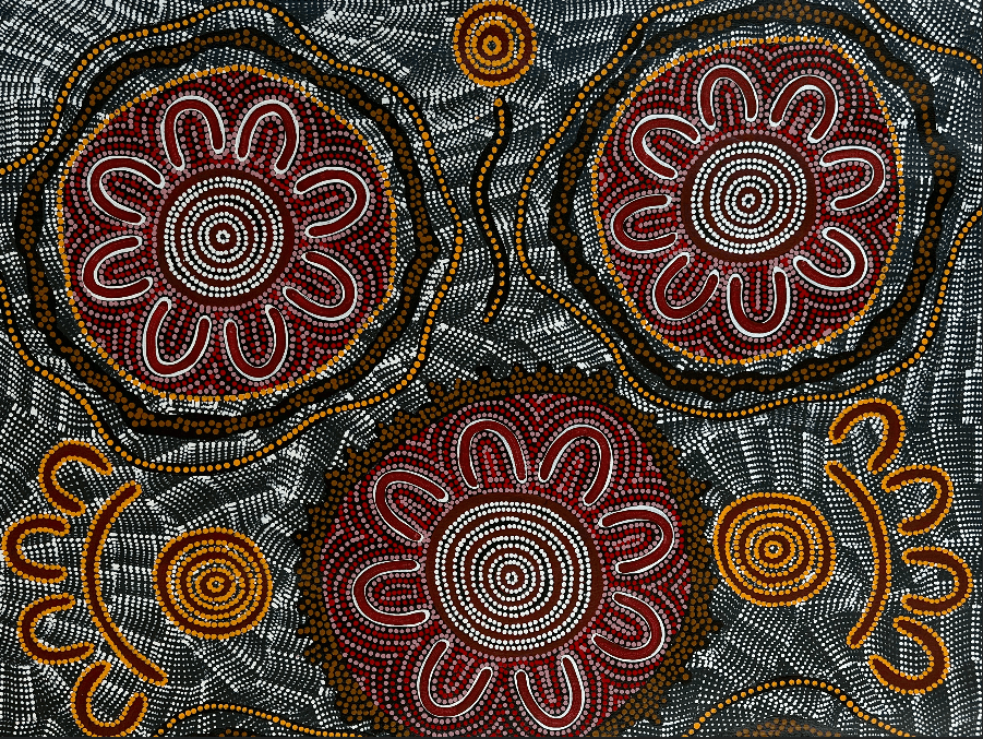 Yuenlamu Mt Allan Julianne Nungarrayi Turner Women's Ceremony Women's business iconography symbolism dot art dot painting Aboriginal Art Indigenous Art Australian Art Warlpiri