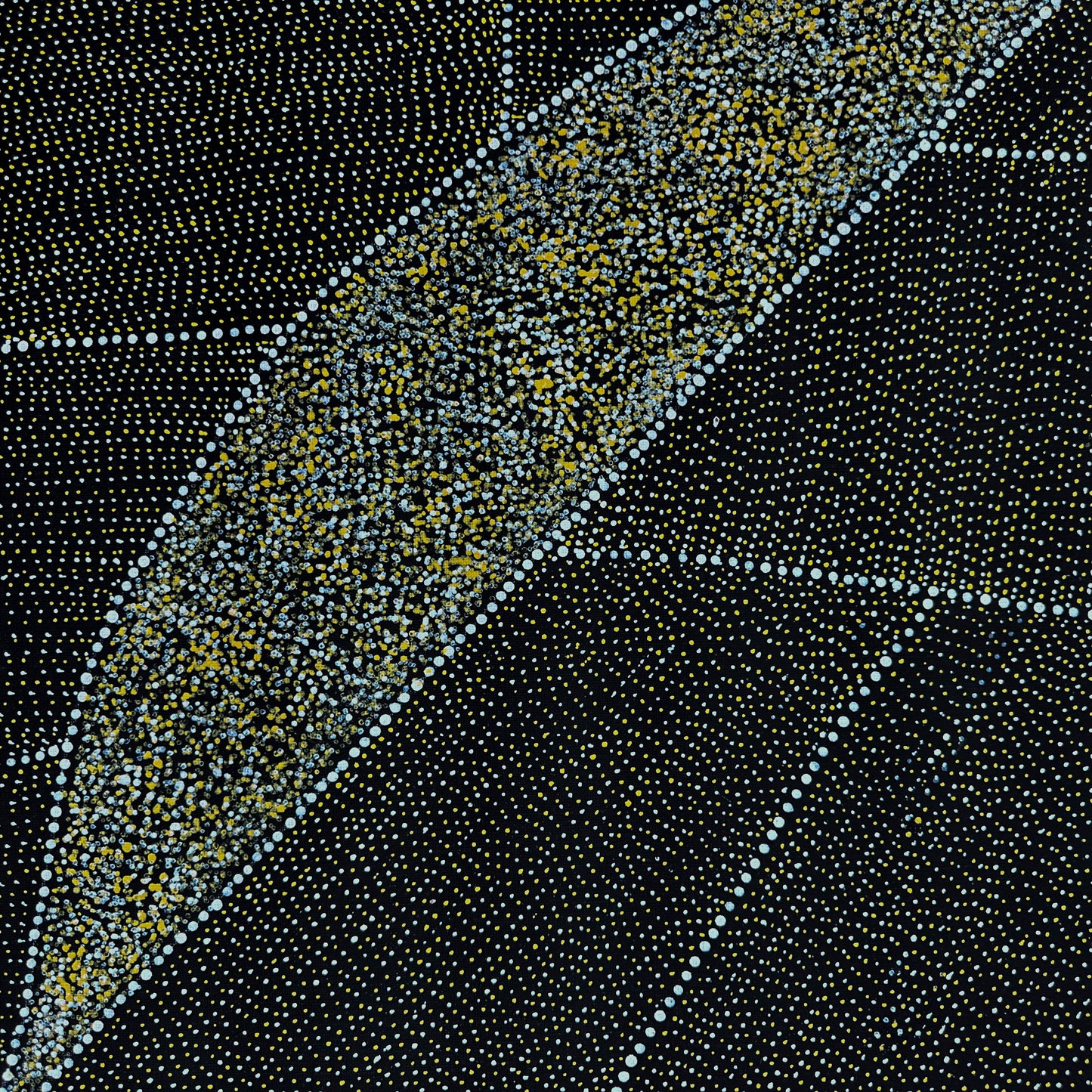 
Kathleen Petyarre, Petyarre, Art Collector, famous artist, Order of Australia, Utopia, Aboriginal Art, Utopian artist, Indigenous Art, Australian Art, Contemporary Art, Art Gallery, Interior Décor, Décor, Artist, Wall Art, Home décor, Office Décor, Altyerre Aboriginal Art, Altyerre, Art for sale, art, painting, painting for sale, First Nation Art, darwin art gallery, Authentic Aboriginal art, interior design, iconography, dot art, dot painting, Arnkerrthe, lizard, direct from the artist, art gallery