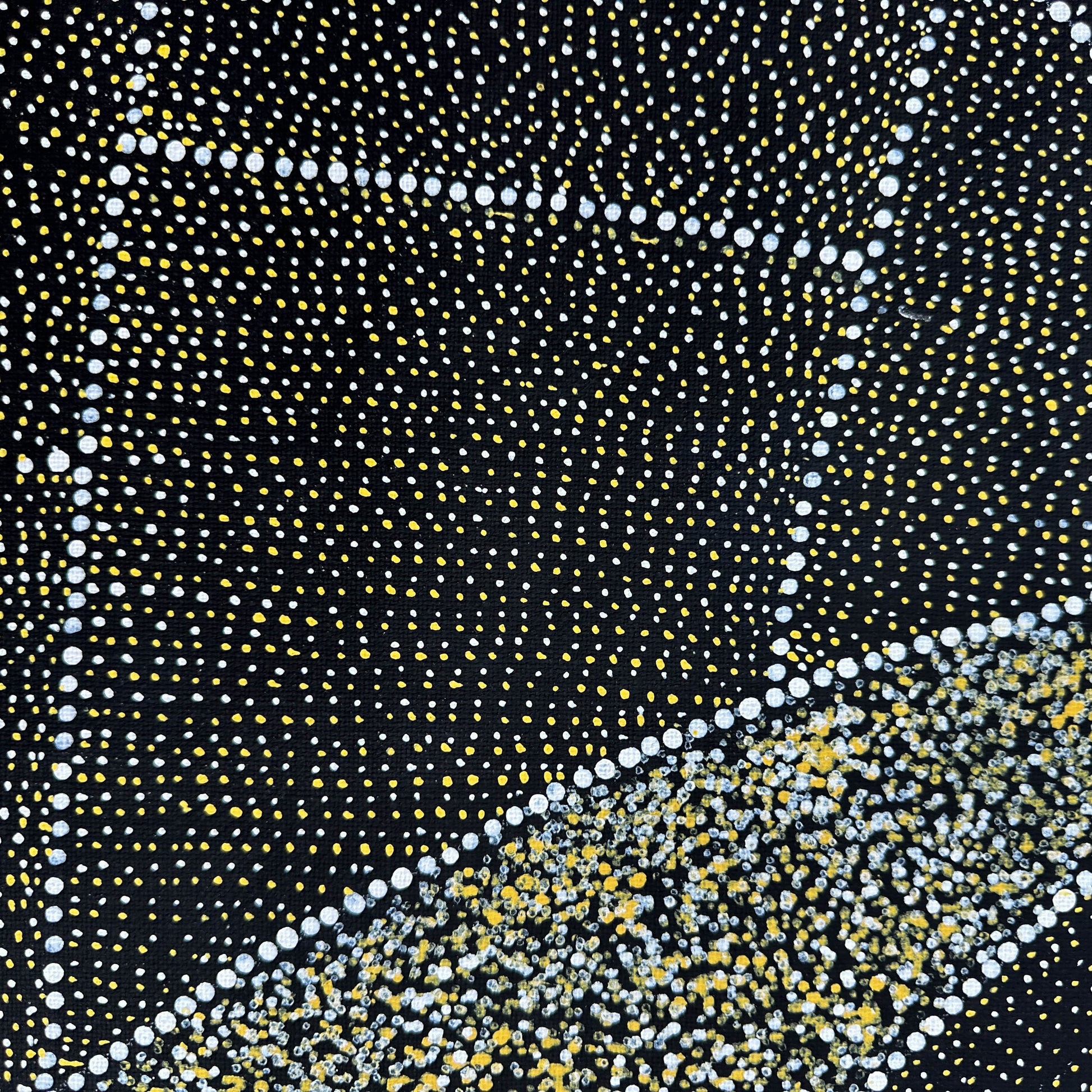 
Kathleen Petyarre, Petyarre, Art Collector, famous artist, Order of Australia, Utopia, Aboriginal Art, Utopian artist, Indigenous Art, Australian Art, Contemporary Art, Art Gallery, Interior Décor, Décor, Artist, Wall Art, Home décor, Office Décor, Altyerre Aboriginal Art, Altyerre, Art for sale, art, painting, painting for sale, First Nation Art, darwin art gallery, Authentic Aboriginal art, interior design, iconography, dot art, dot painting, Arnkerrthe, lizard, direct from the artist, art gallery