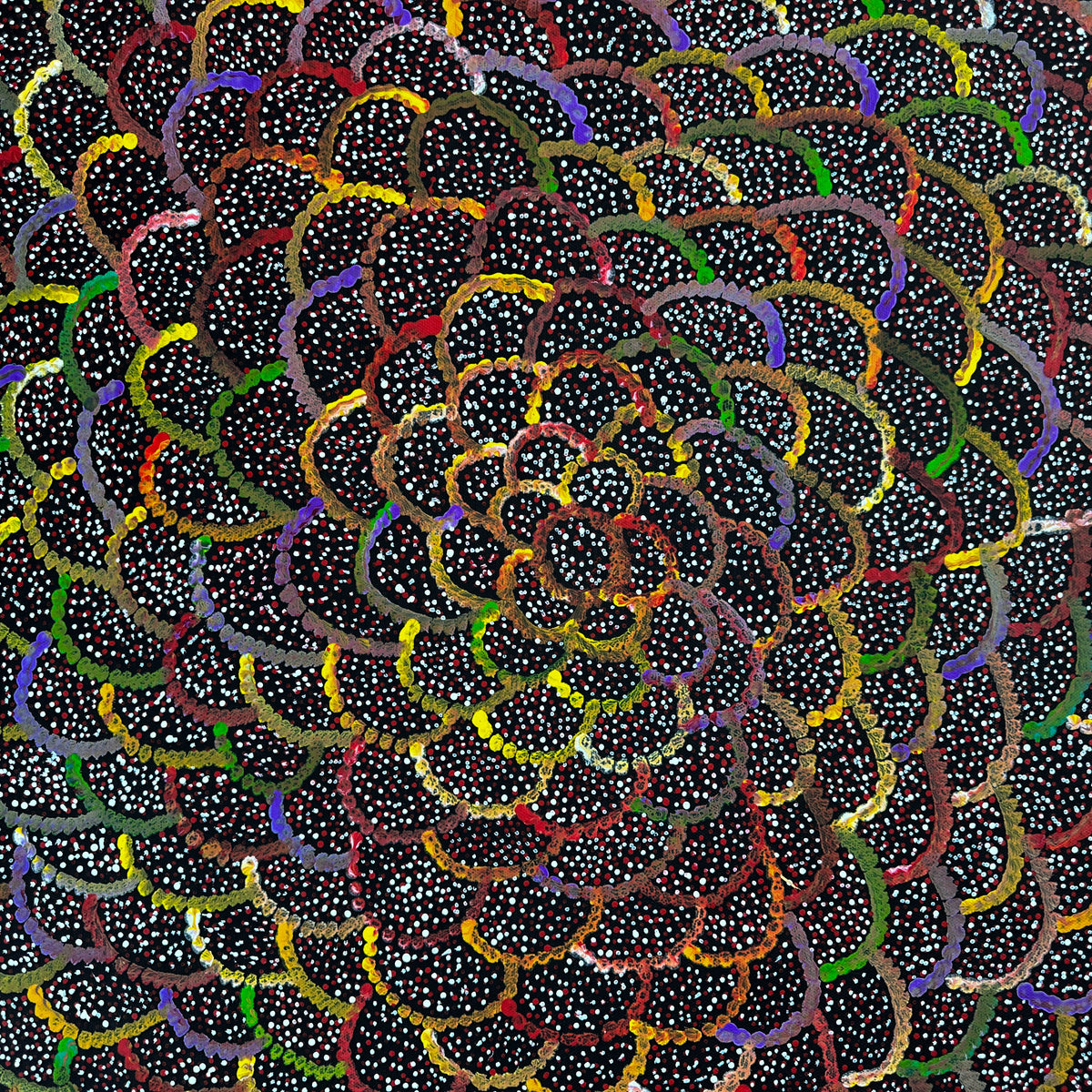 Anwekety (Bush Plum) by Katie Rumble Pitjara (Petyarre) – view 5