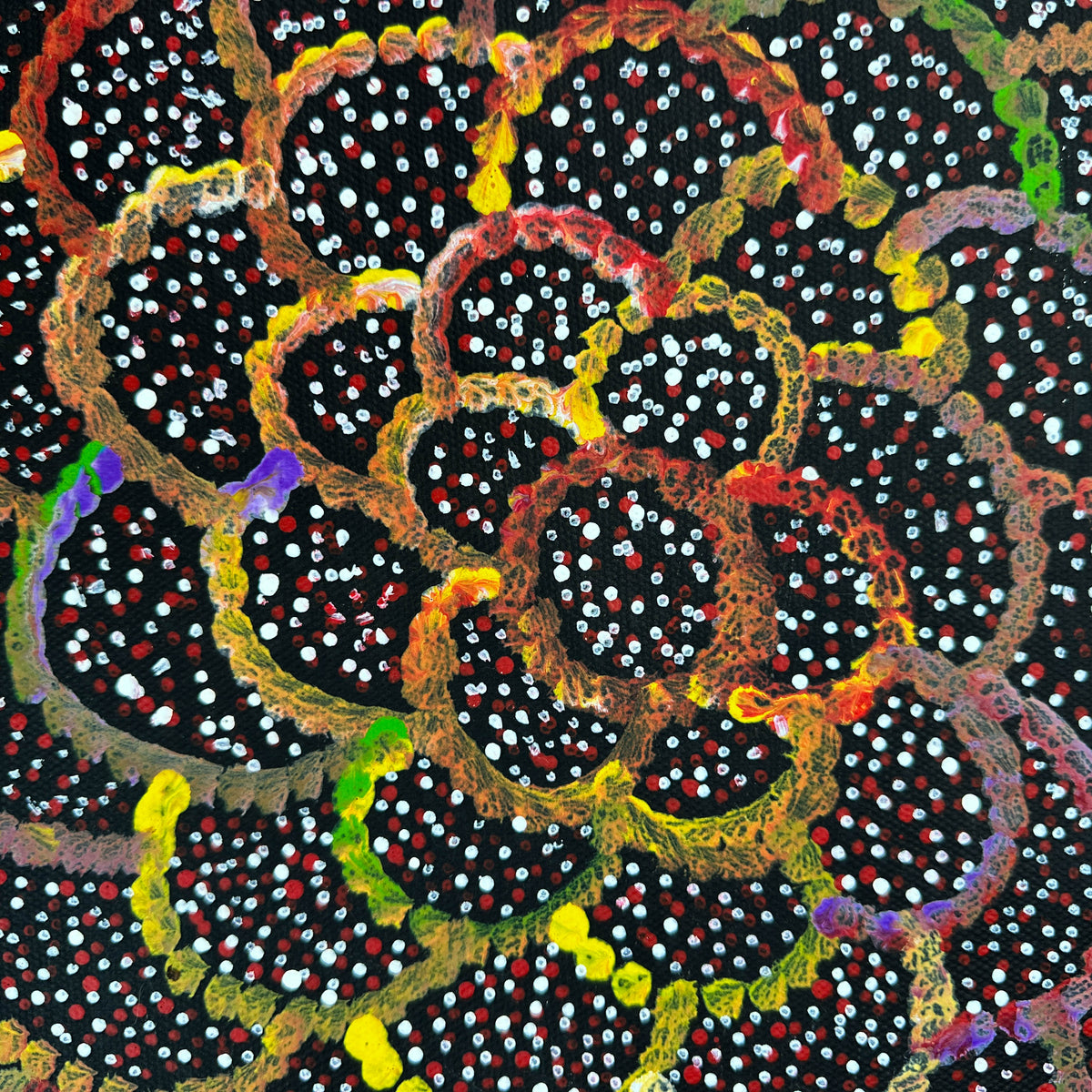 Anwekety (Bush Plum) by Katie Rumble Pitjara (Petyarre) – view 3
