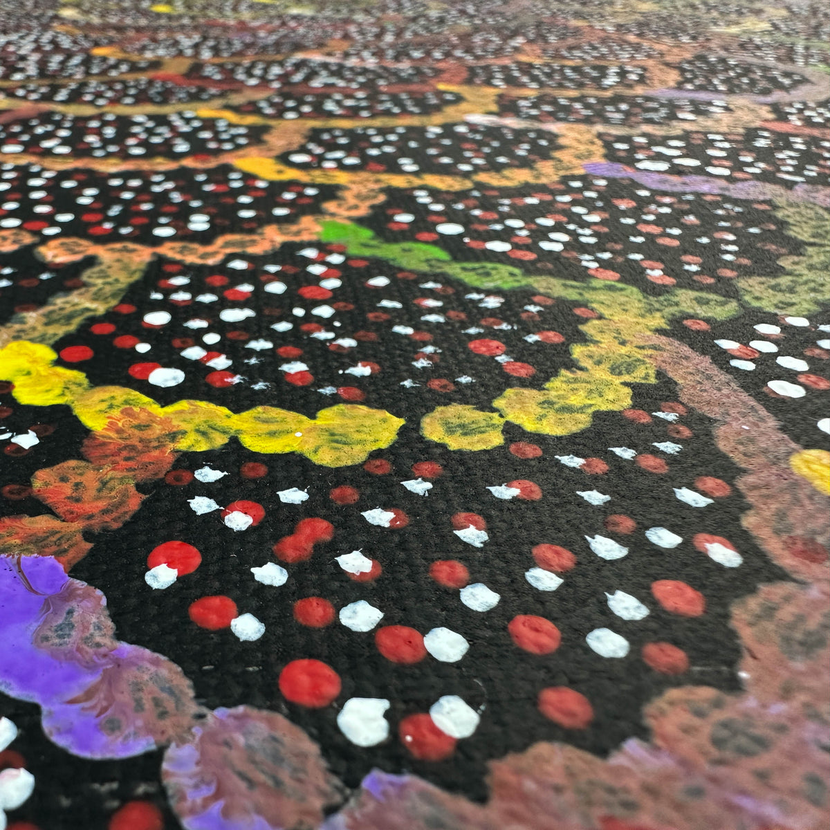 Anwekety (Bush Plum) by Katie Rumble Pitjara (Petyarre) – view 4