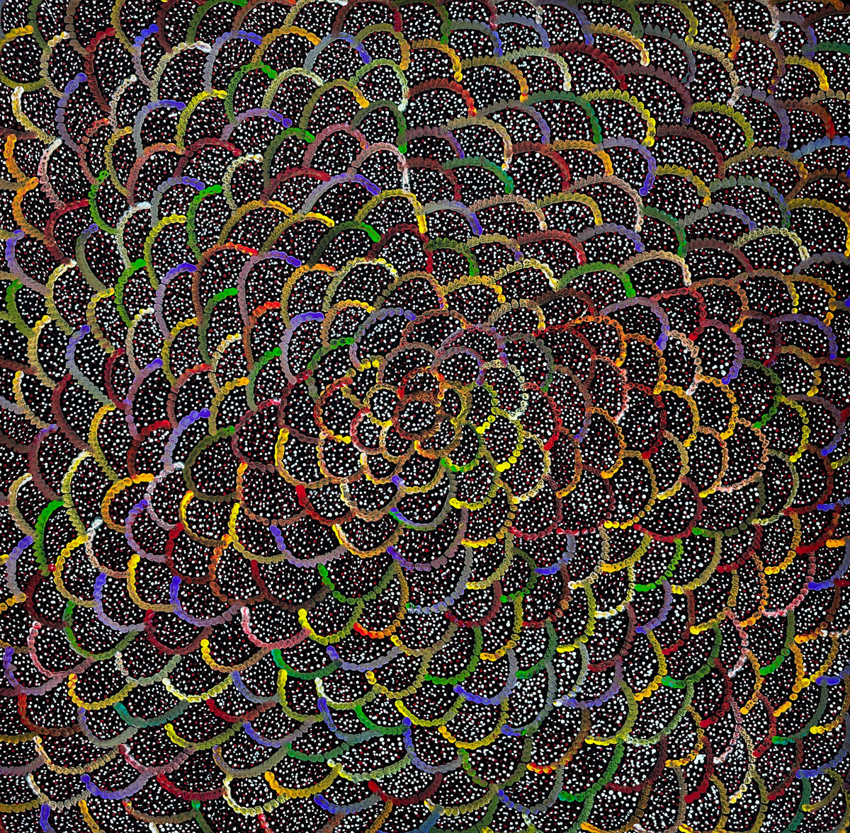 Anwekety (Bush Plum) by Katie Rumble Pitjara (Petyarre) – acrylic on canvas, 91 x 94 cm