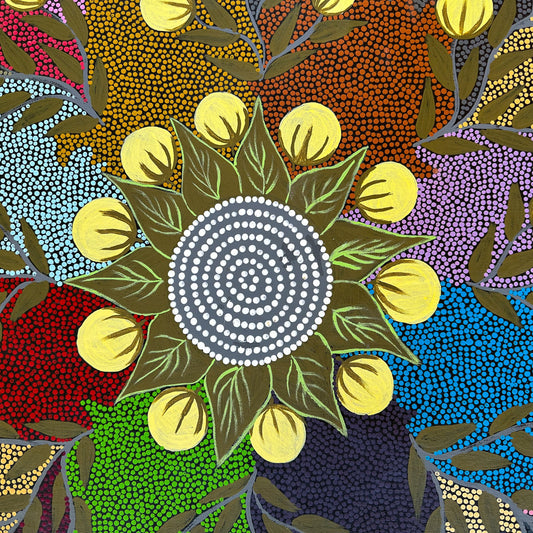 Kay Willis Napurrula, bush tomato, witchetty grub, dreaming, aboriginal dreaming, aboriginal art, indigenous art for sale, Australian art for sale, artwork, painting for sale, willowra, northern territory, Darwin gallery, interior design, wall art, art gallery, authentic art, original art, ethical art, iconography, dot artwork, dot painting, symbolism, altyerre aboriginal art