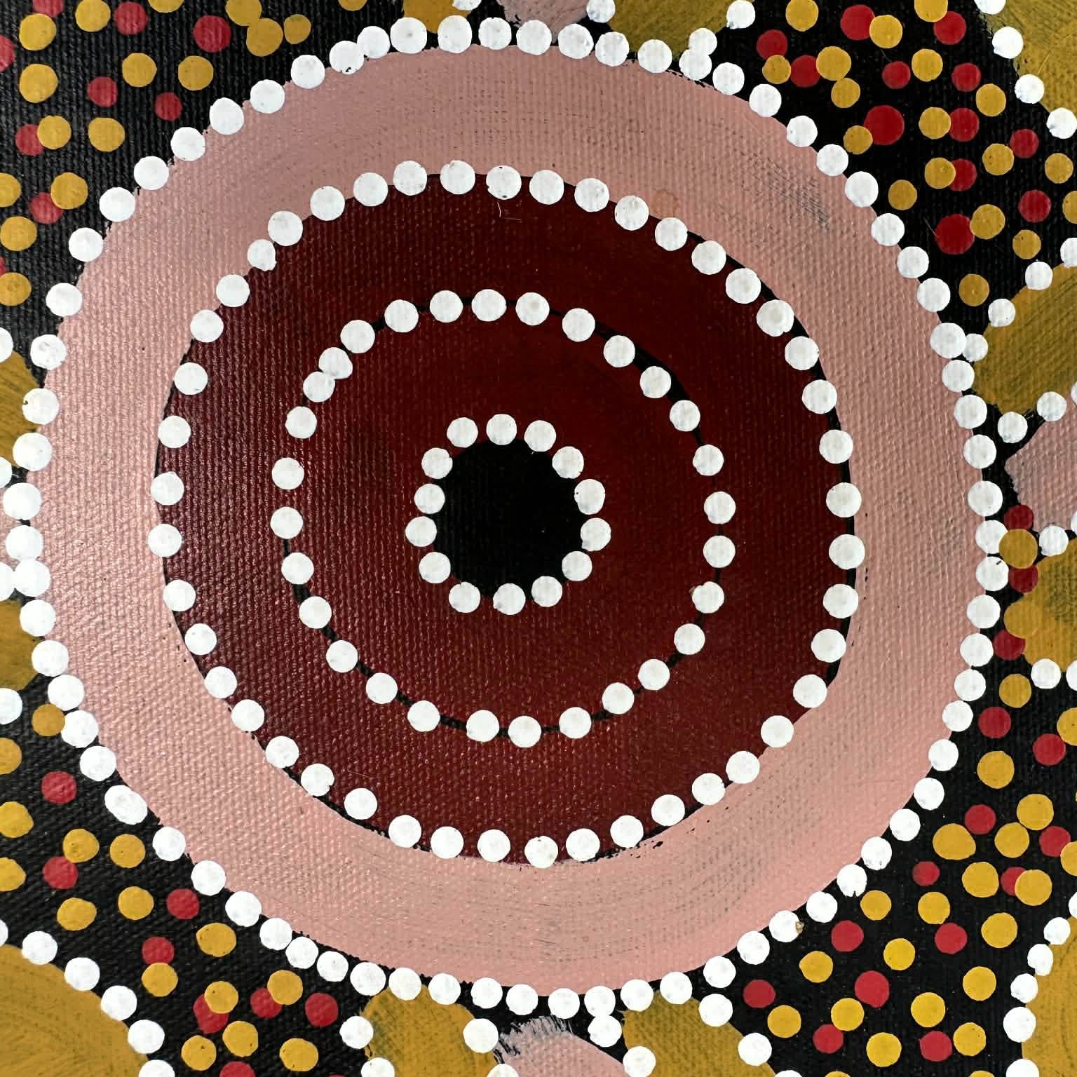 #lindsaybird #lindsaybirdmpetyane #utopia #anmatyerre #traditionalart #aboriginalart #indigenousart #australianart #dotpainting #dotartwork #art #artwork #artforsale #painting #paintingforsale #wallart #artgallery #darwinbasedgallery #northernterritory #artstory #knowledge #decor #interiordecor #interiordesign #office #officedecor #artlover #artcollector #famousartist #dreamings #bushplum #ochrecolours #maleartist 