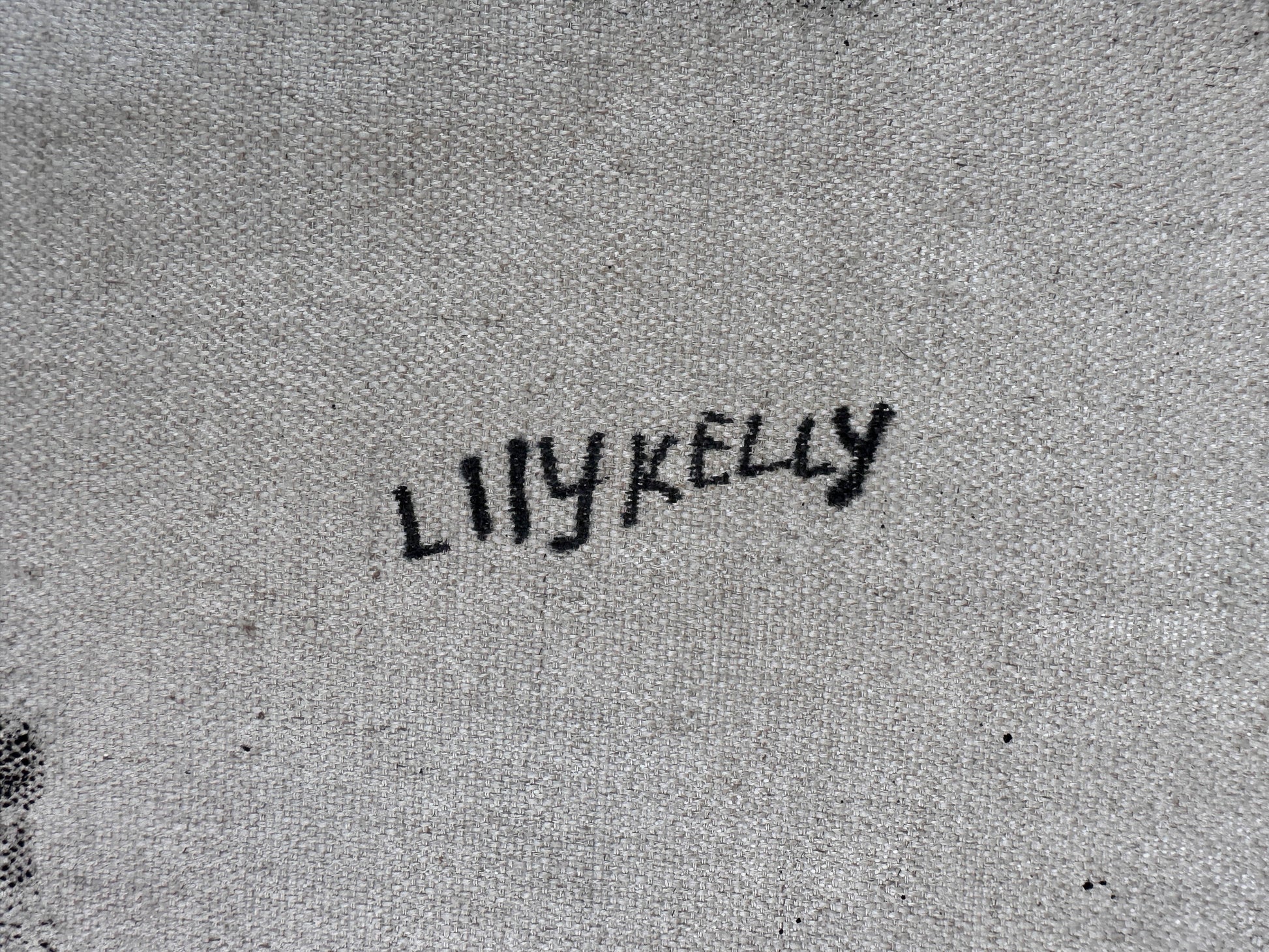 Lily Kelly Napangardi + monochromatic + tali + sandhills + dot art + dot artwork + dot painting + famous artist + Indigenous art + aboriginal art + Australian art + darwin based gallery + mesmerising + hypnotic + Haasts Bluff +