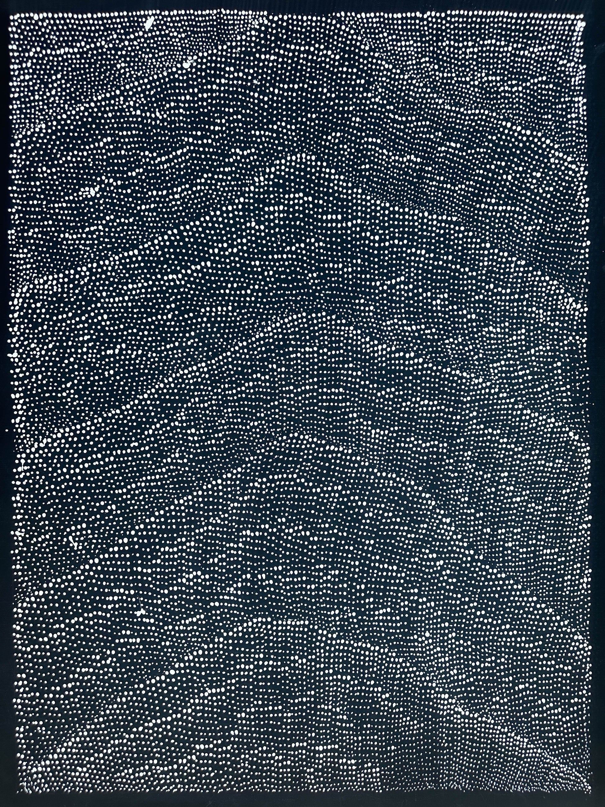 Lily Kelly Napangardi, Haasts Bluff, Northern Territory, Indigenous art for sale, Aboriginal art for sale, Australian art, Dot art painting, indigenous painting for sale, Tali, Sand hills, Warlpiri, Luritja, Mt Liebig, Interior design, Interior décor, home décor, wall art, altyerre aboriginal art, Darwin art gallery, artwork, intricate dot art, hypnotic, movemen, family business 