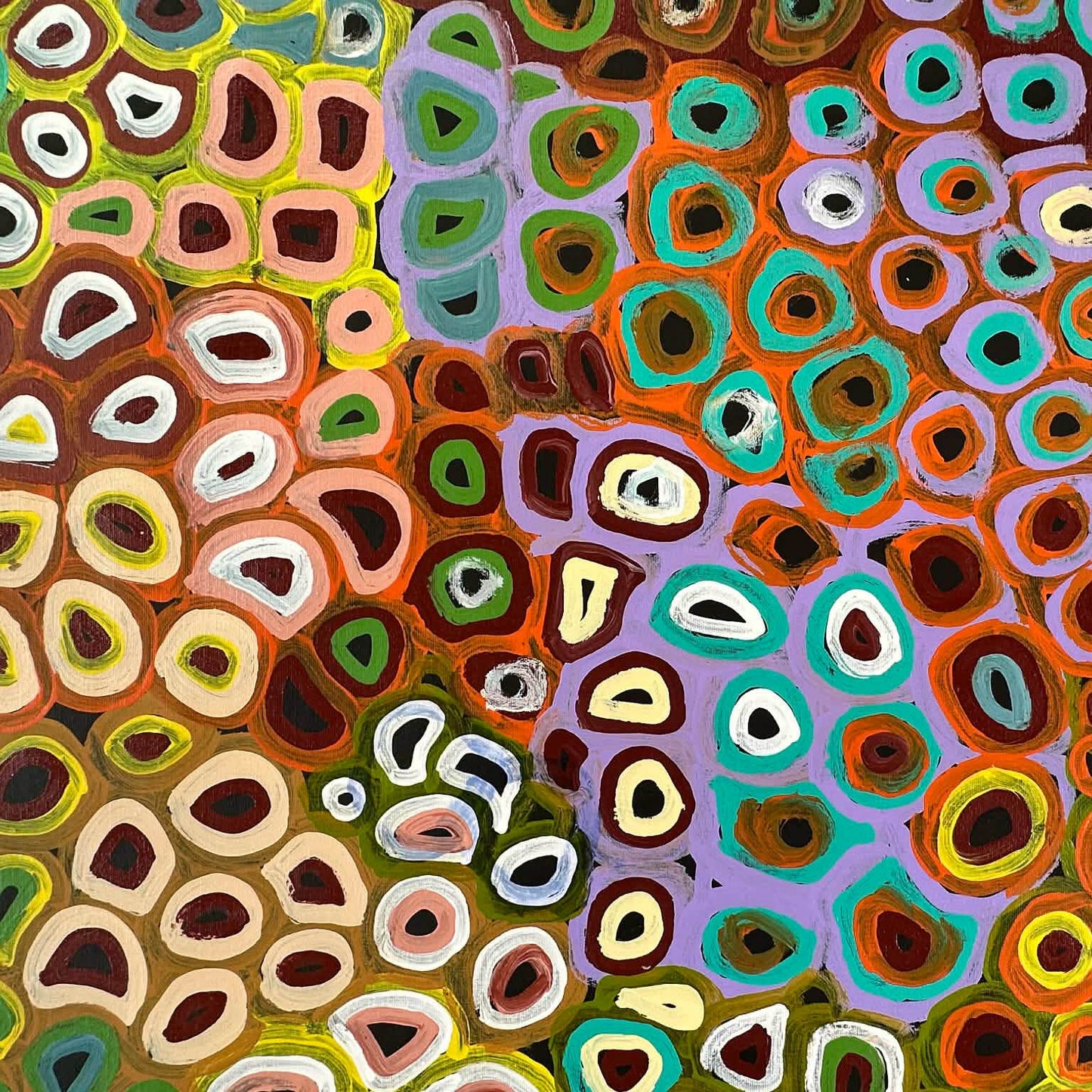 #LenaPwerle #lenaPula #indigenousart #aboriginalart #australianart #art #artforsale #painting #paintingforsale #utopia #dreaming #ahalpere #anmatyerre #famousartist #artcollector #artgallery #altyerreaboriginalart #artgallery #interiordesign #interiordecorating #home #homedecor #decor #officedecor #wallart #darwingallery #artgallery #artist #ethicalart #origionalart #directfromtheartist #soakage #anwekety #awelye 