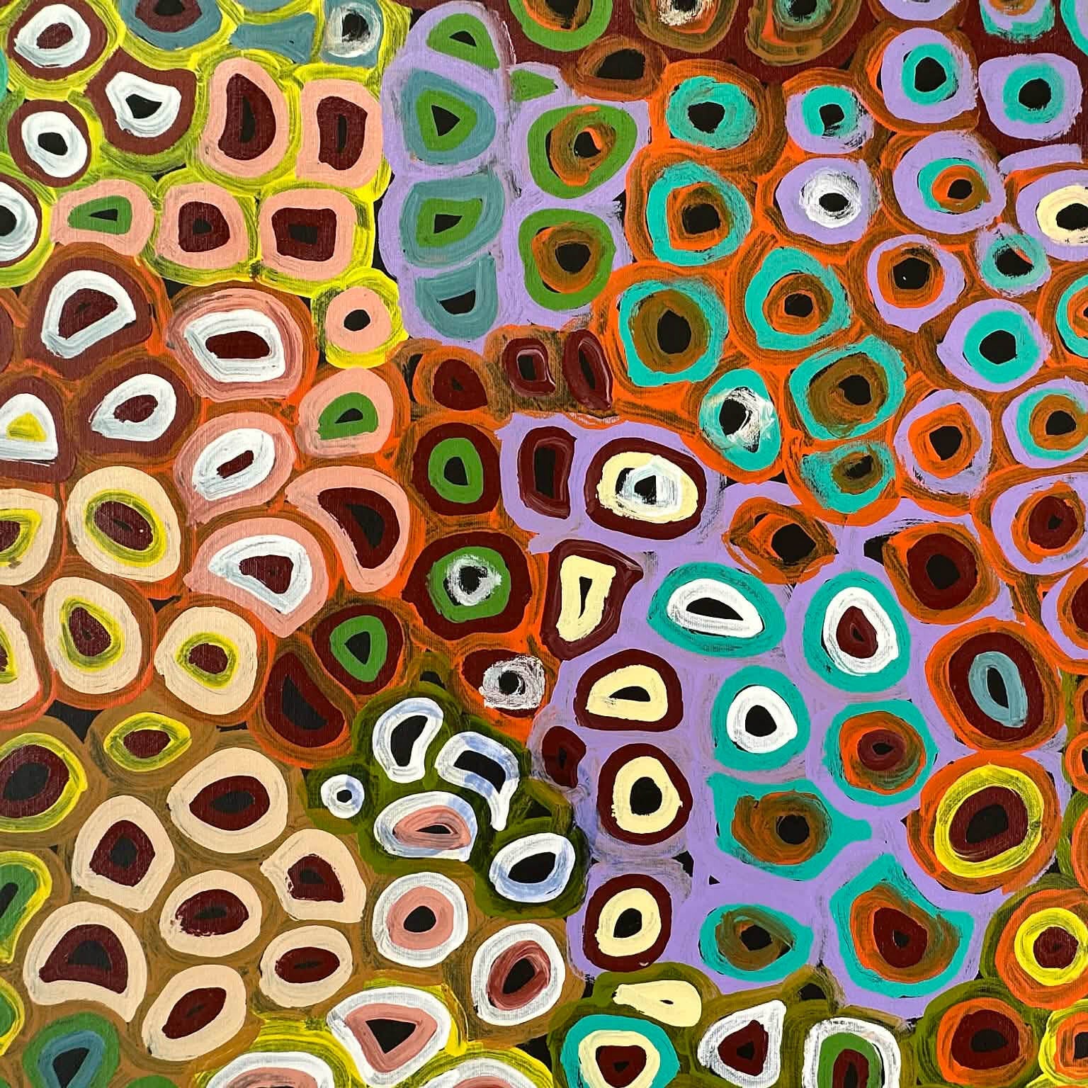 #LenaPwerle #lenaPula #indigenousart #aboriginalart #australianart #art #artforsale #painting #paintingforsale #utopia #dreaming #ahalpere #anmatyerre #famousartist #artcollector #artgallery #altyerreaboriginalart #artgallery #interiordesign #interiordecorating #home #homedecor #decor #officedecor #wallart #darwingallery #artgallery #artist #ethicalart #origionalart #directfromtheartist #soakage #anwekety #awelye 