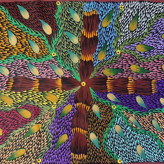 Amunturngu + Mt Liebig + Northern Territory + Aboriginal Artist + Indigenous Artist + Australian Artist + Painting + Art for Sale + Painting for Sale + Darwin Based Gallery + Beautiful + Colourful + Bush Banana + Dreaming  + Traditional art + Contemporary art