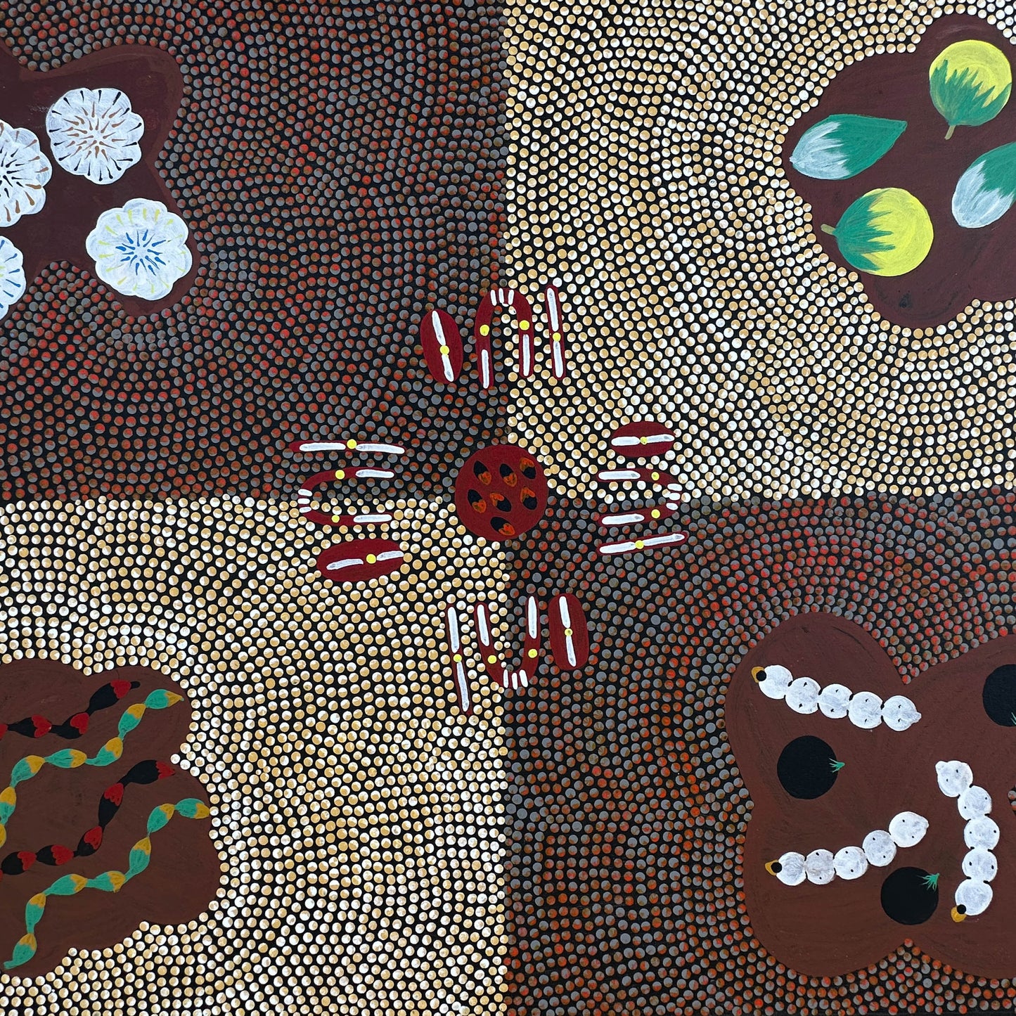 Willowra + Northern Territory + Mary Ross Nabarula + Witchetty Grub + Bush Plum + Bush Bean + Bush Banana + Bush Tomato + Bush Cotton Wool + Indigenous Art + Dot Art + Traditional Art + Australian Art + Aboriginal Art + Ochre Colours + Iconography + Symbolism + Bush Tucker + Art Story 