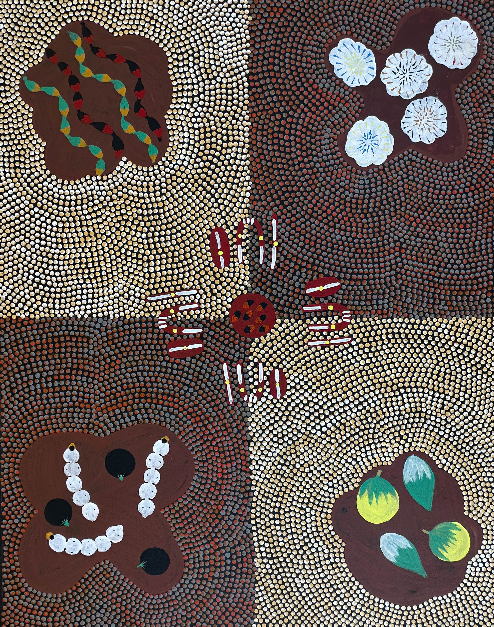 Willowra + Northern Territory + Mary Ross Nabarula + Witchetty Grub + Bush Plum + Bush Bean + Bush Banana + Bush Tomato + Bush Cotton Wool + Indigenous Art + Dot Art + Traditional Art + Australian Art + Aboriginal Art + Ochre Colours + Iconography + Symbolism + Bush Tucker + Art Story