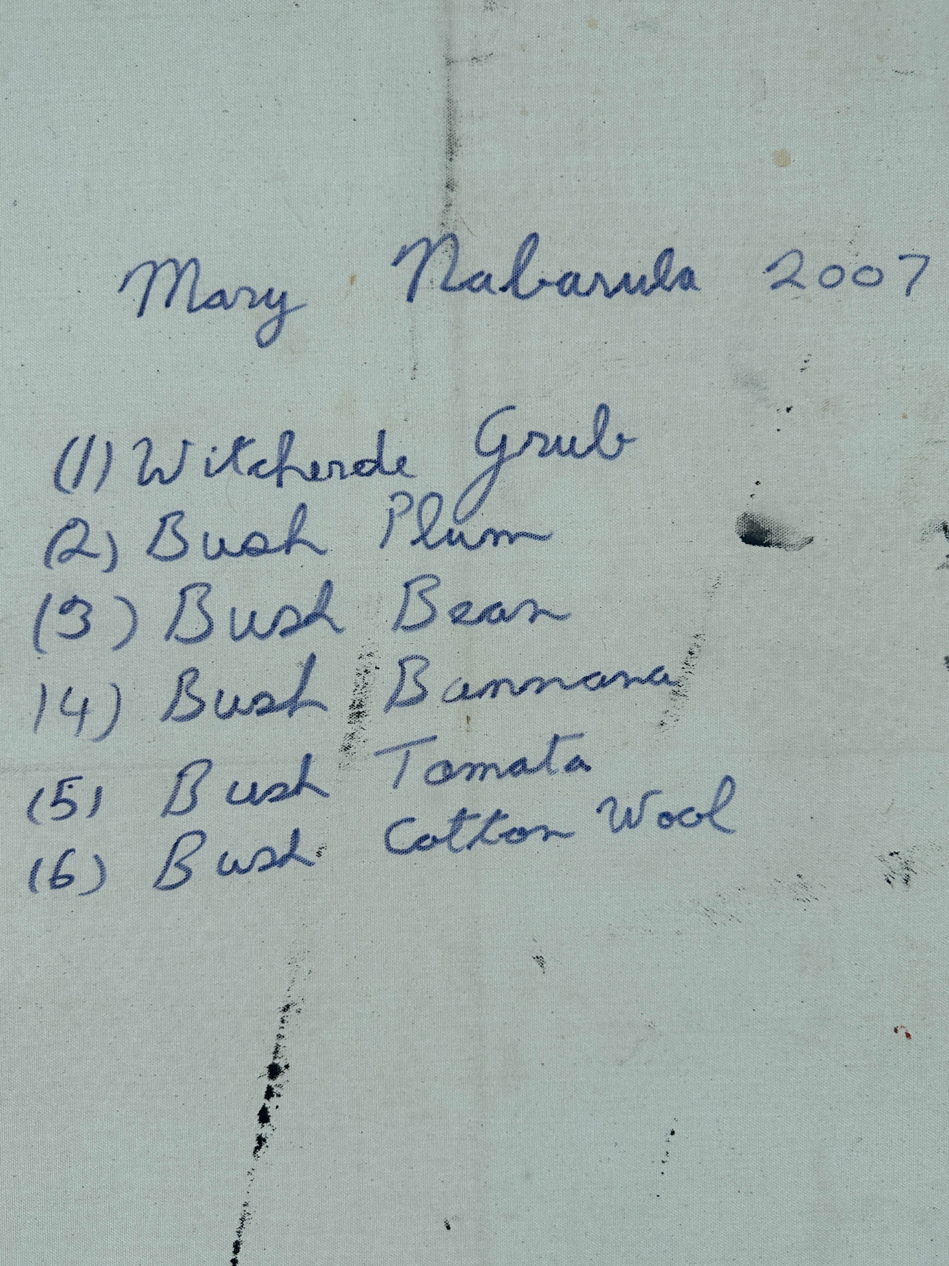 Willowra + Northern Territory + Mary Ross Nabarula + Witchetty Grub + Bush Plum + Bush Bean + Bush Banana + Bush Tomato + Bush Cotton Wool + Indigenous Art + Dot Art + Traditional Art + Australian Art + Aboriginal Art + Ochre Colours + Iconography + Symbolism + Bush Tucker + Art Story