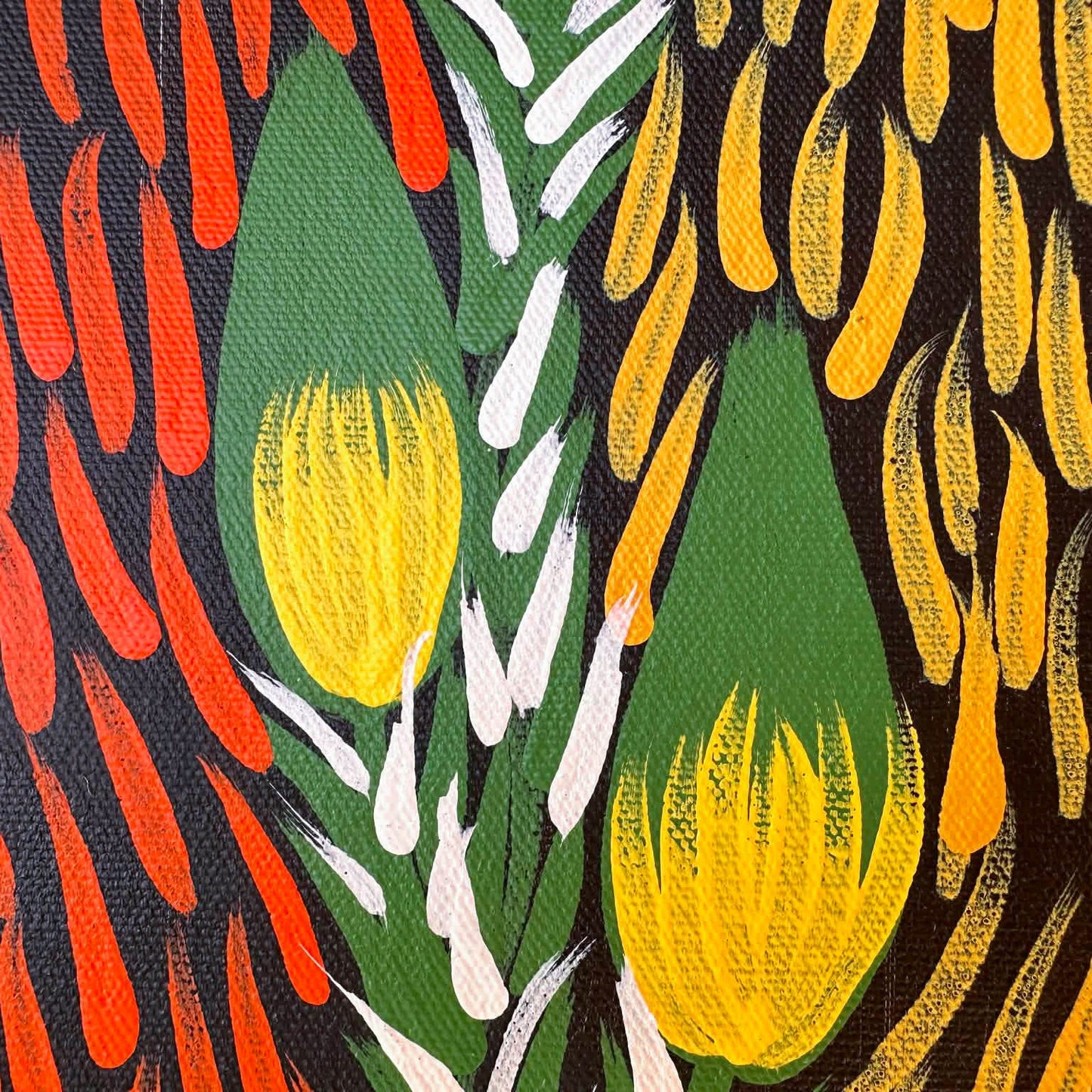 #maryjonesnapangardi #marynapangardijones #bushbanana #bushtucker #northernterritory #indigneousart #aboriginalart #australianart #mtliebig #amunturngu #art #artwork #artforsale #painting #paintingforsale #colourful #darwingallery #artgallery #altyerreaboriginalart #familybusiness #authenticart #origionalart #traditionart #contemporaryart #interior #interiordesign #decor #homedecor #officedecor #artstory #artlovers
