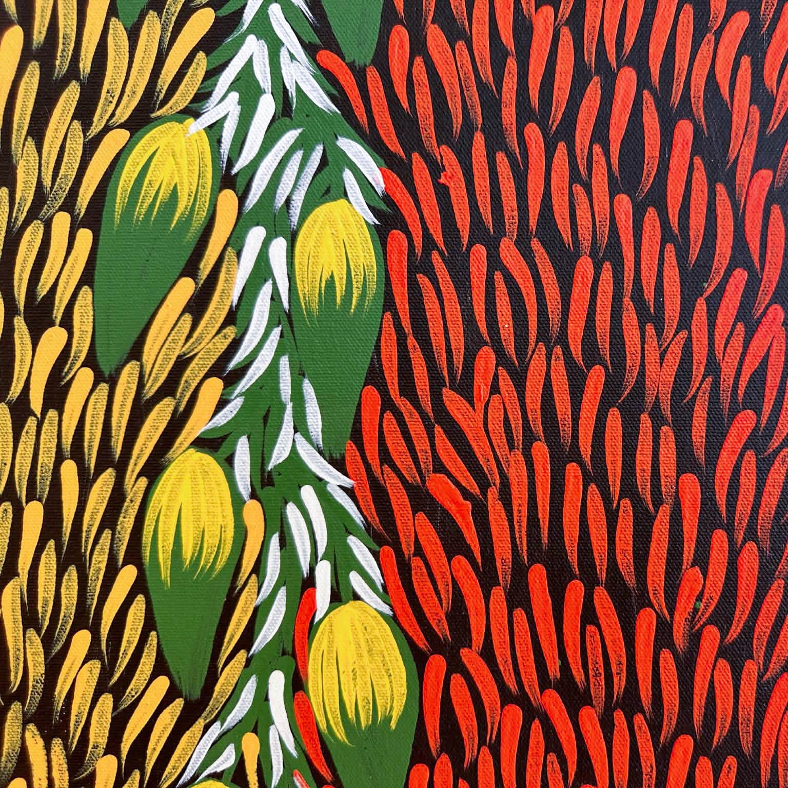 #maryjonesnapangardi #marynapangardijones #bushbanana #bushtucker #northernterritory #indigneousart #aboriginalart #australianart #mtliebig #amunturngu #art #artwork #artforsale #painting #paintingforsale #colourful #darwingallery #artgallery #altyerreaboriginalart #familybusiness #authenticart #origionalart #traditionart #contemporaryart #interior #interiordesign #decor #homedecor #officedecor #artstory #artlovers