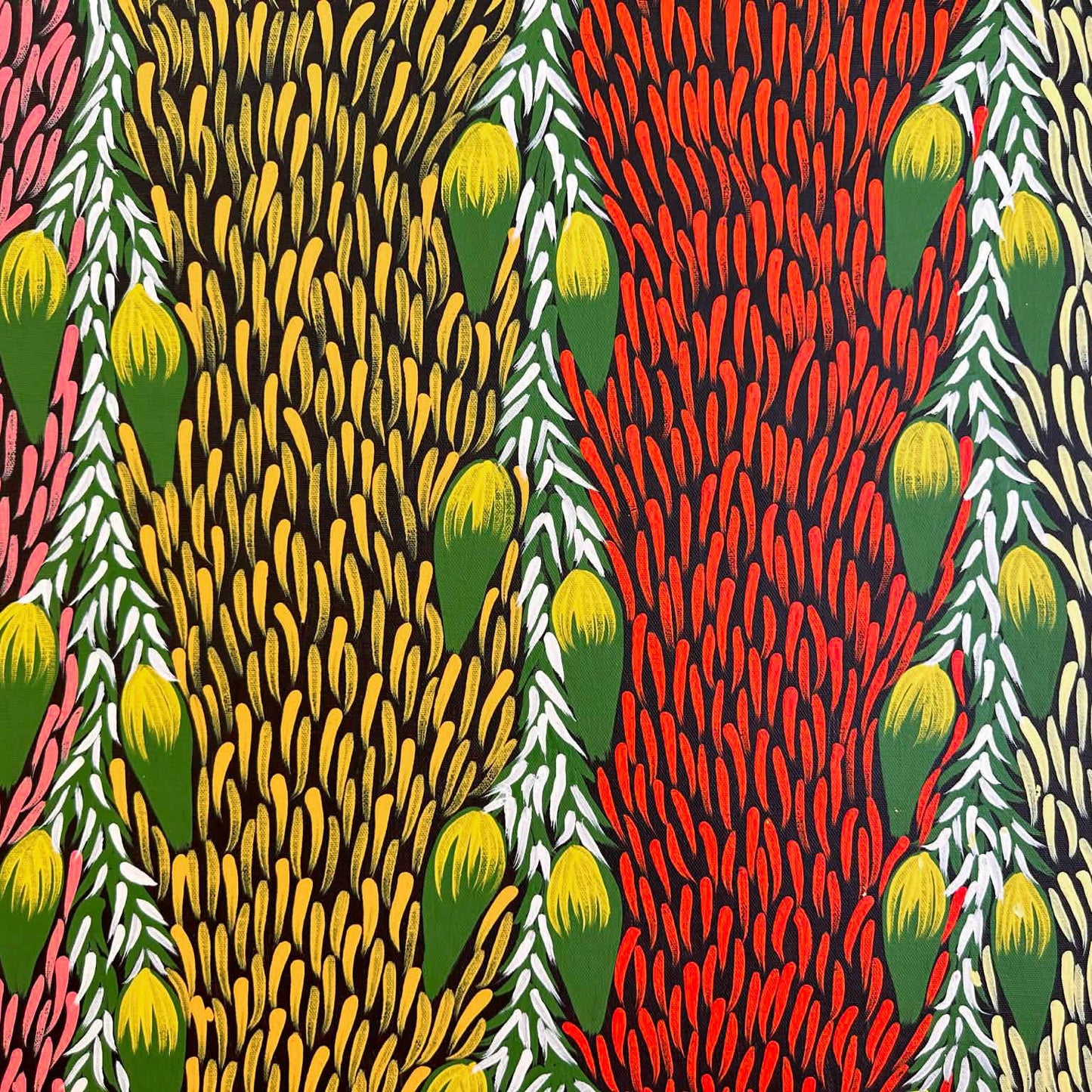 #maryjonesnapangardi #marynapangardijones #bushbanana #bushtucker #northernterritory #indigneousart #aboriginalart #australianart #mtliebig #amunturngu #art #artwork #artforsale #painting #paintingforsale #colourful #darwingallery #artgallery #altyerreaboriginalart #familybusiness #authenticart #origionalart #traditionart #contemporaryart #interior #interiordesign #decor #homedecor #officedecor #artstory #artlovers