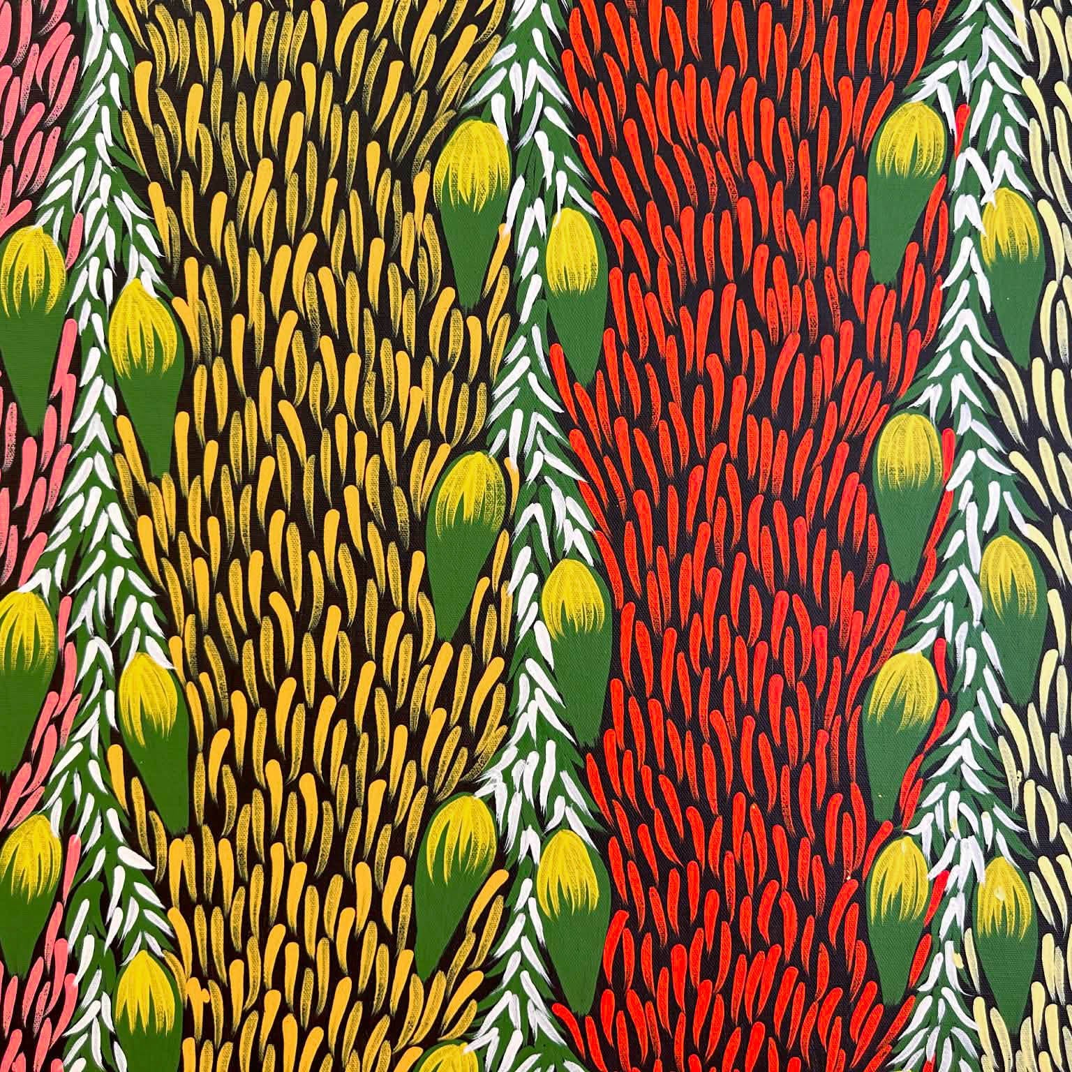 #maryjonesnapangardi #marynapangardijones #bushbanana #bushtucker #northernterritory #indigneousart #aboriginalart #australianart #mtliebig #amunturngu #art #artwork #artforsale #painting #paintingforsale #colourful #darwingallery #artgallery #altyerreaboriginalart #familybusiness #authenticart #origionalart #traditionart #contemporaryart #interior #interiordesign #decor #homedecor #officedecor #artstory #artlovers