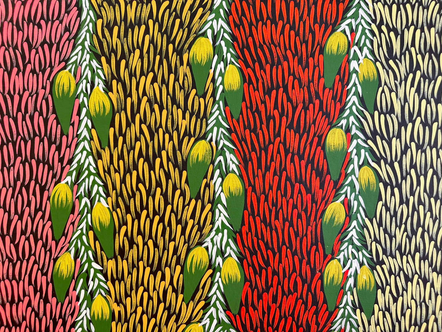 #maryjonesnapangardi #marynapangardijones #bushbanana #bushtucker #northernterritory #indigneousart #aboriginalart #australianart #mtliebig #amunturngu #art #artwork #artforsale #painting #paintingforsale #colourful #darwingallery #artgallery #altyerreaboriginalart #familybusiness #authenticart #origionalart #traditionart #contemporaryart #interior #interiordesign #decor #homedecor #officedecor #artstory #artlovers