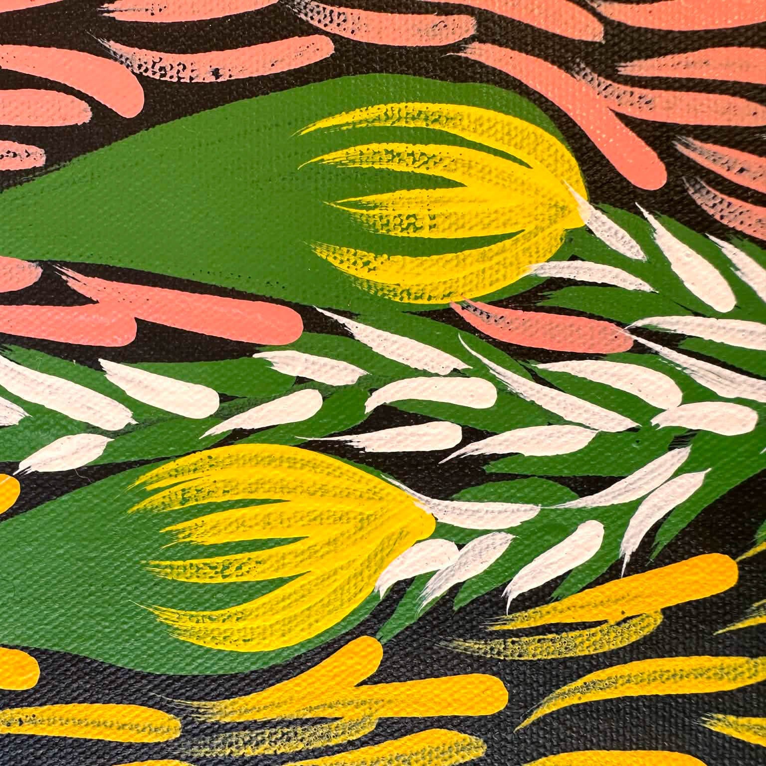 #maryjonesnapangardi #marynapangardijones #bushbanana #bushtucker #northernterritory #indigneousart #aboriginalart #australianart #mtliebig #amunturngu #art #artwork #artforsale #painting #paintingforsale #colourful #darwingallery #artgallery #altyerreaboriginalart #familybusiness #authenticart #origionalart #traditionart #contemporaryart #interior #interiordesign #decor #homedecor #officedecor #artstory #artlovers