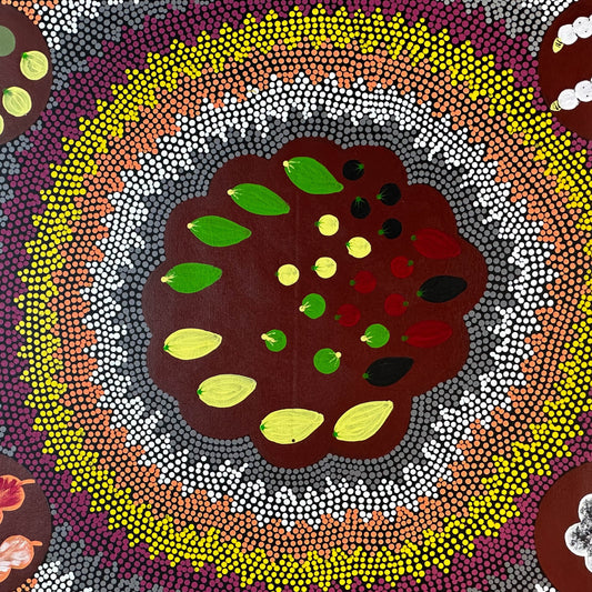Bush Tucker + bush tomatoes, bush berries, bush potato/yam, witchetty grubs, cotton wool + Mary Ross Nabarula + Willowra + Indigenous Art + Aboriginal Art + Australian Art + Dot Art Painting + Darwin Based Gallery + Bush Survival + traditional art 