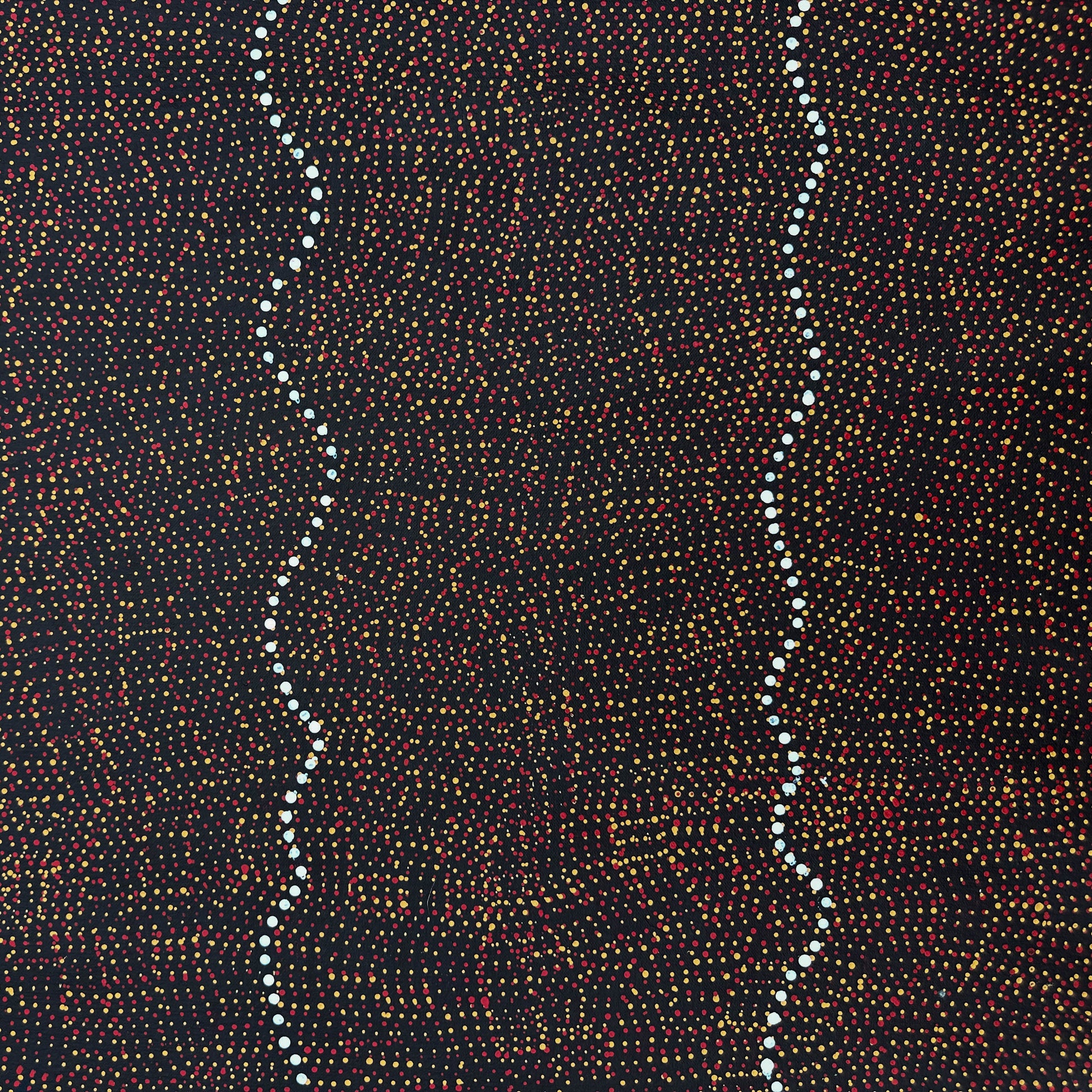 #Maryrumble #maryrumblepitjara #utopia #Anwekety #BushPlum #BushMedicine #artforsale #paintingforsale #artdecor #interiordecor #artwork #artgallery #altyerreaboriginalart #darwinartgallery #DarwinNorthernTerritory #femaleartist #indigenousart #aboriginalart #australianart #femaleartist #utopia #dotartwork #dotpainting #art #painting #artstory #mrp465