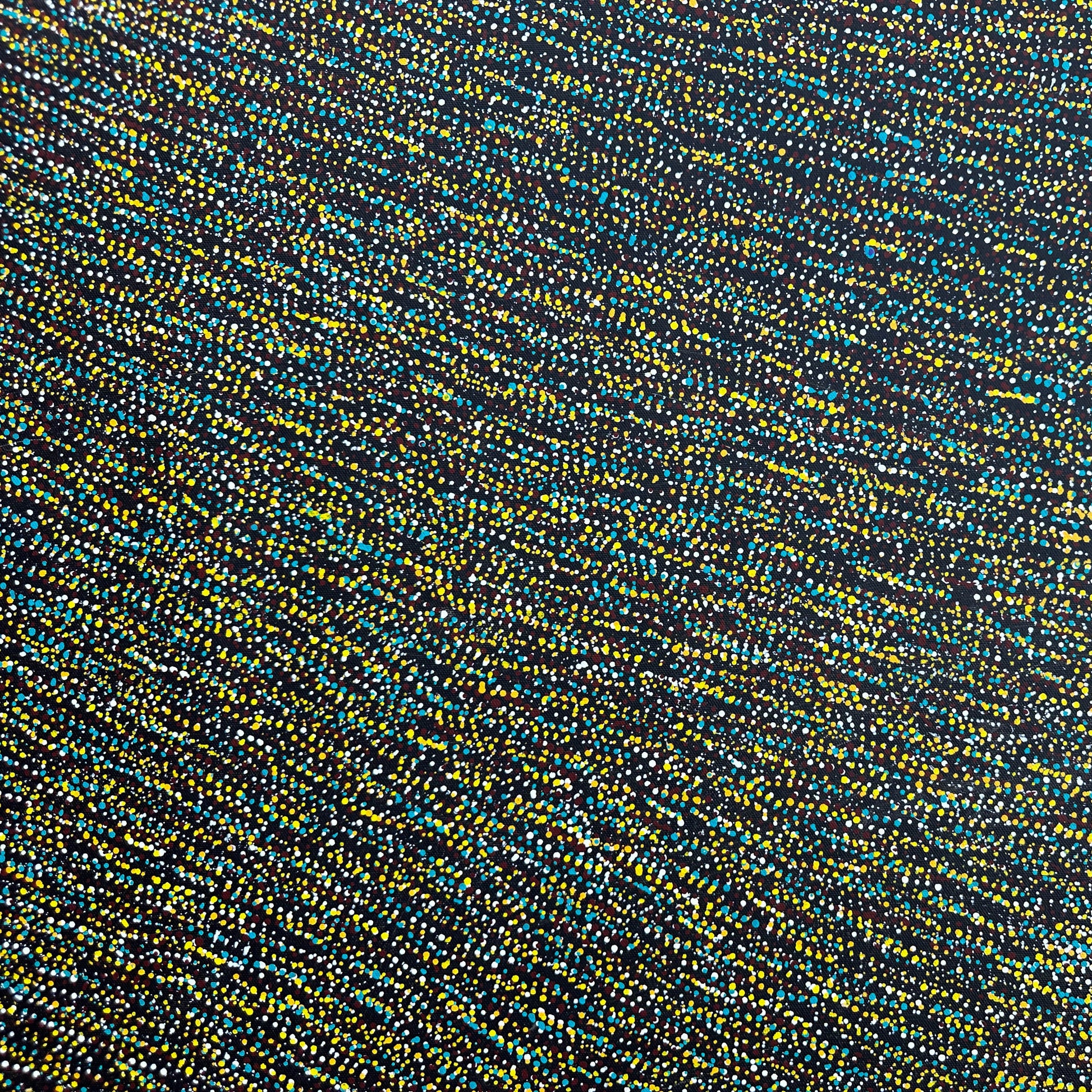 Mary Rumble Pitjara, Utopia, Anwekety, Bush Plum, Bush Medicine, Art for sale, painting for sale, Art Décor, Interior Decor, art work, Art Gallery, Altyerre Aboriginal Art, bush seeds, Darwin Art Gallery, Indigenous art, Aboriginal Art, Art, Aboriginal Art for sale, Indigenous art for sale, Painting, Australian art, Female artist, Dot art work, Dot Painting, art, art work, art collector, art lover, family business, ethical art, original art, direct from the artist, MRP490, Darwin Northern Territory