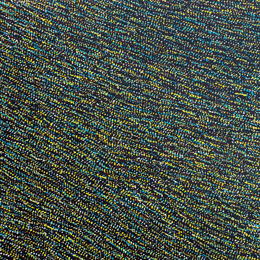 #Maryrumble #maryrumblepitjara #utopia #Anwekety #BushPlum #BushMedicine #artforsale #paintingforsale #artdecor #interiordecor #artwork #artgallery #altyerreaboriginalart #bushseeds #darwinartgallery #DarwinNorthernTerritory #femaleartist #indigenousart #aboriginalart #art #indigenousart #darwinaboriginalart #aboriginalartforsale #indigenousartforsale #painting #painting #australianart #femaleartist #utopia #dotartwork #dotpainting #art #artstory #artcollector #artlover #familybusiness #eithicalart #origion