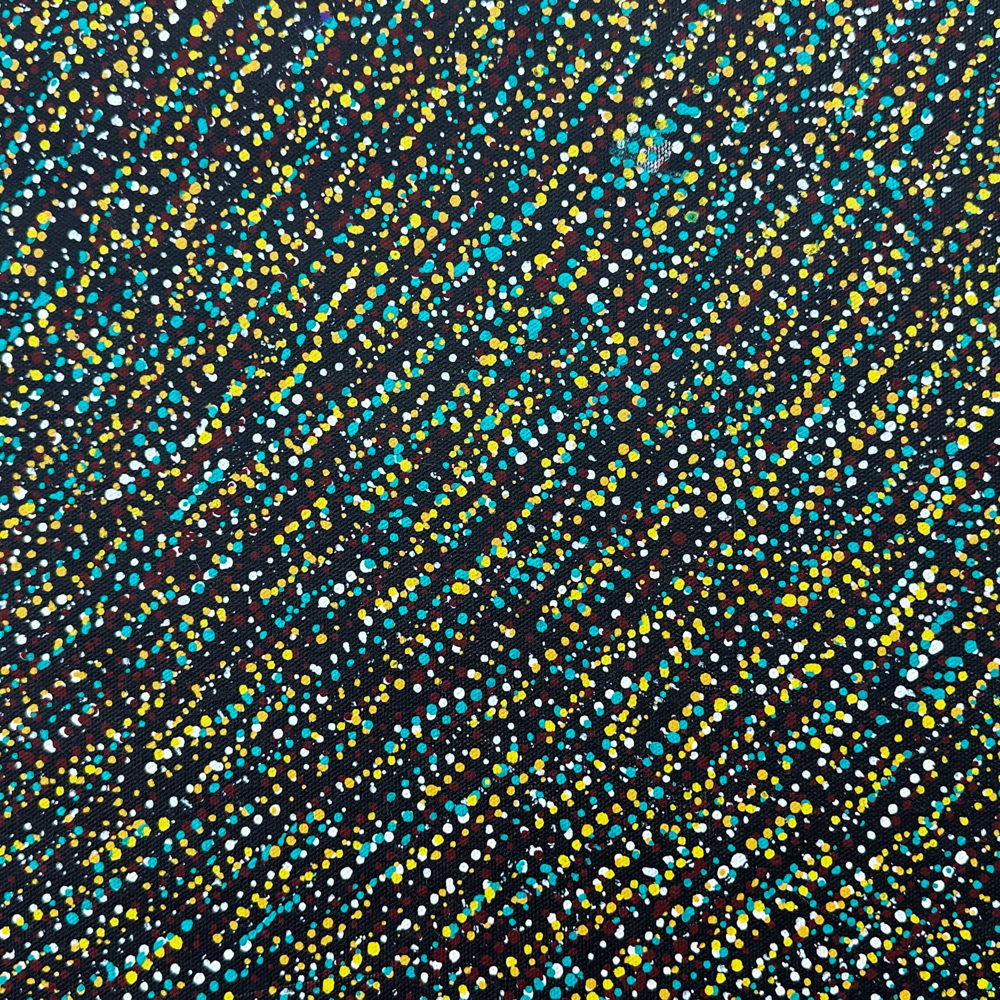 Mary Rumble Pitjara, Utopia, Anwekety, Bush Plum, Bush Medicine, Art for sale, painting for sale, Art Décor, Interior Decor, art work, Art Gallery, Altyerre Aboriginal Art, bush seeds, Darwin Art Gallery, Indigenous art, Aboriginal Art, Art, Aboriginal Art for sale, Indigenous art for sale, Painting, Australian art, Female artist, Dot art work, Dot Painting, art, art work, art collector, art lover, family business, ethical art, original art, direct from the artist, MRP490, Darwin Northern Territory