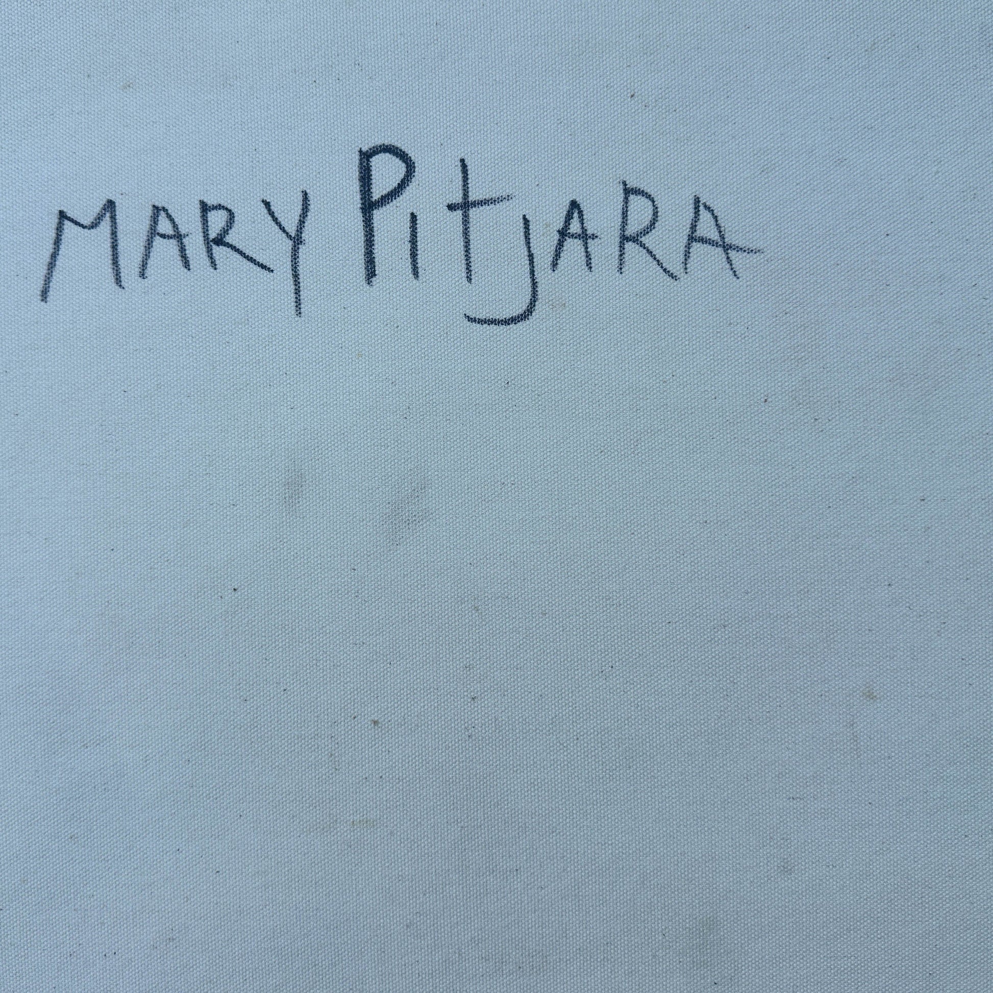 Mary Rumble Pitjara, Utopia, Anwekety, Bush Plum, Bush Medicine, Art for sale, painting for sale, Art Décor, Interior Decor, art work, Art Gallery, Altyerre Aboriginal Art, bush seeds, Darwin Art Gallery, Indigenous art, Aboriginal Art, Art, Aboriginal Art for sale, Indigenous art for sale, Painting, Australian art, Female artist, Dot art work, Dot Painting, art, art work, art collector, art lover, family business, ethical art, original art, direct from the artist, MRP490, Darwin Northern Territory