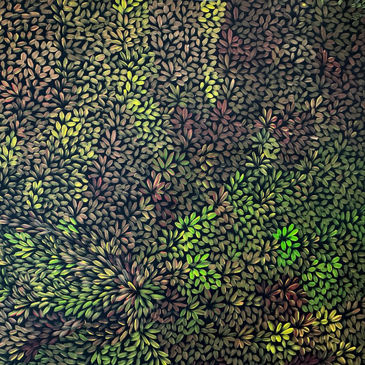 Margaret Scobie , Utopia, Indigenous art, Aboriginal Art, Australian Art, Bush Leaf Medicine, Altyerre Aboriginal Art, art, darwin gallery, indigenous painting for sale, aboriginal art for sale, Australian art for sale, 