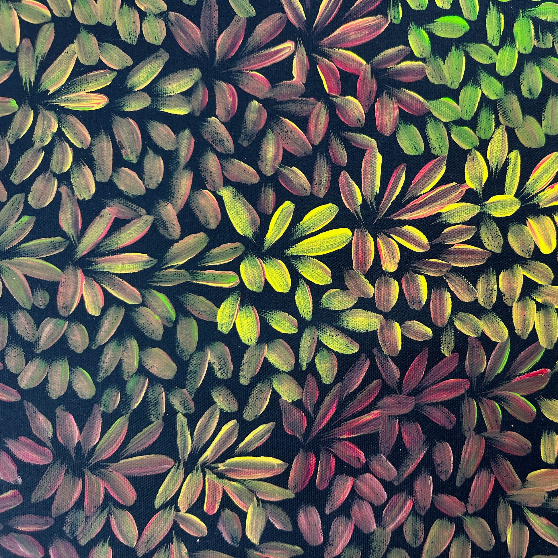 Margaret Scobie , Utopia, Indigenous art, Aboriginal Art, Australian Art, Bush Leaf Medicine, Altyerre Aboriginal Art, art, darwin gallery, indigenous painting for sale, aboriginal art for sale, Australian art for sale, 