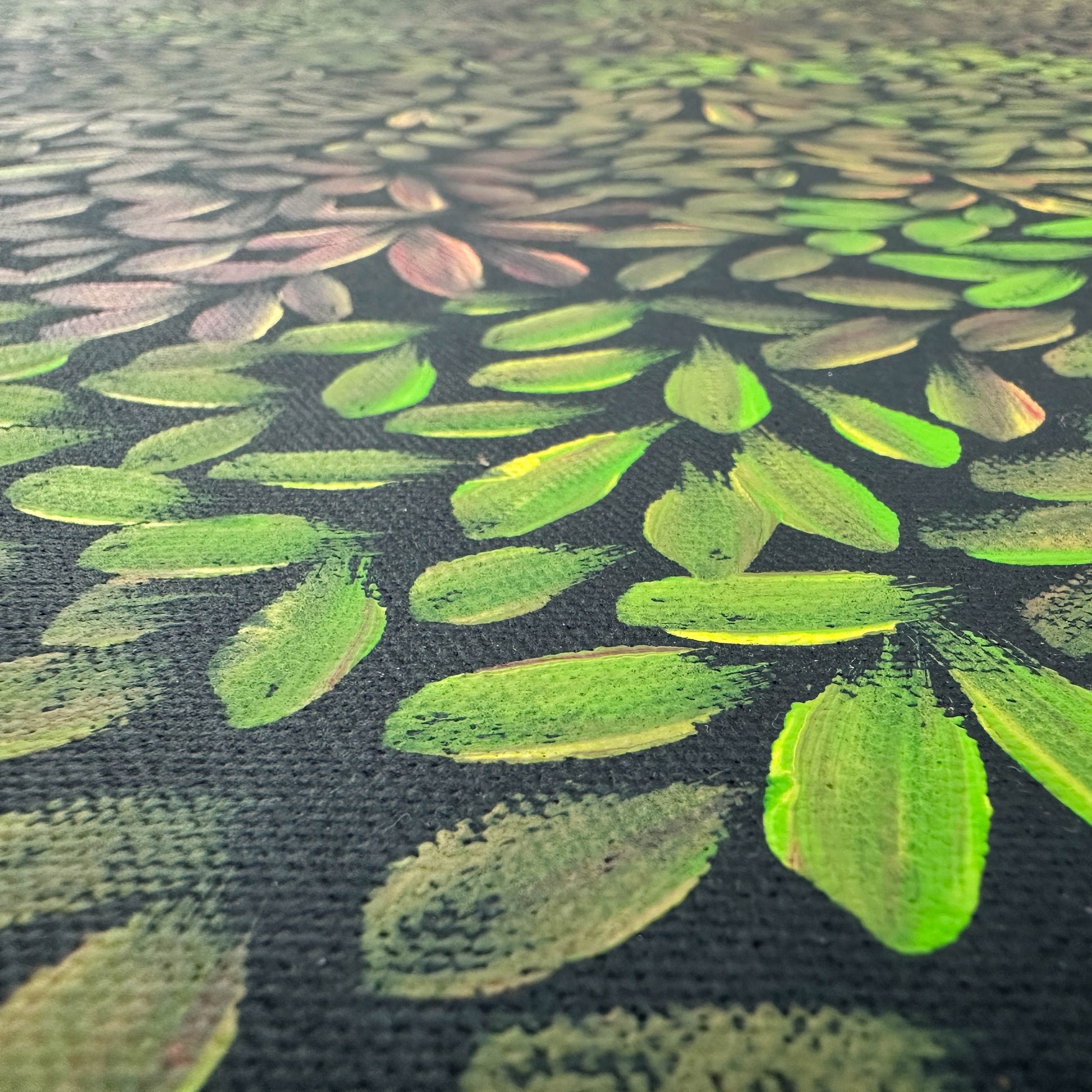 Margaret Scobie , Utopia, Indigenous art, Aboriginal Art, Australian Art, Bush Leaf Medicine, Altyerre Aboriginal Art, art, darwin gallery, indigenous painting for sale, aboriginal art for sale, Australian art for sale, 