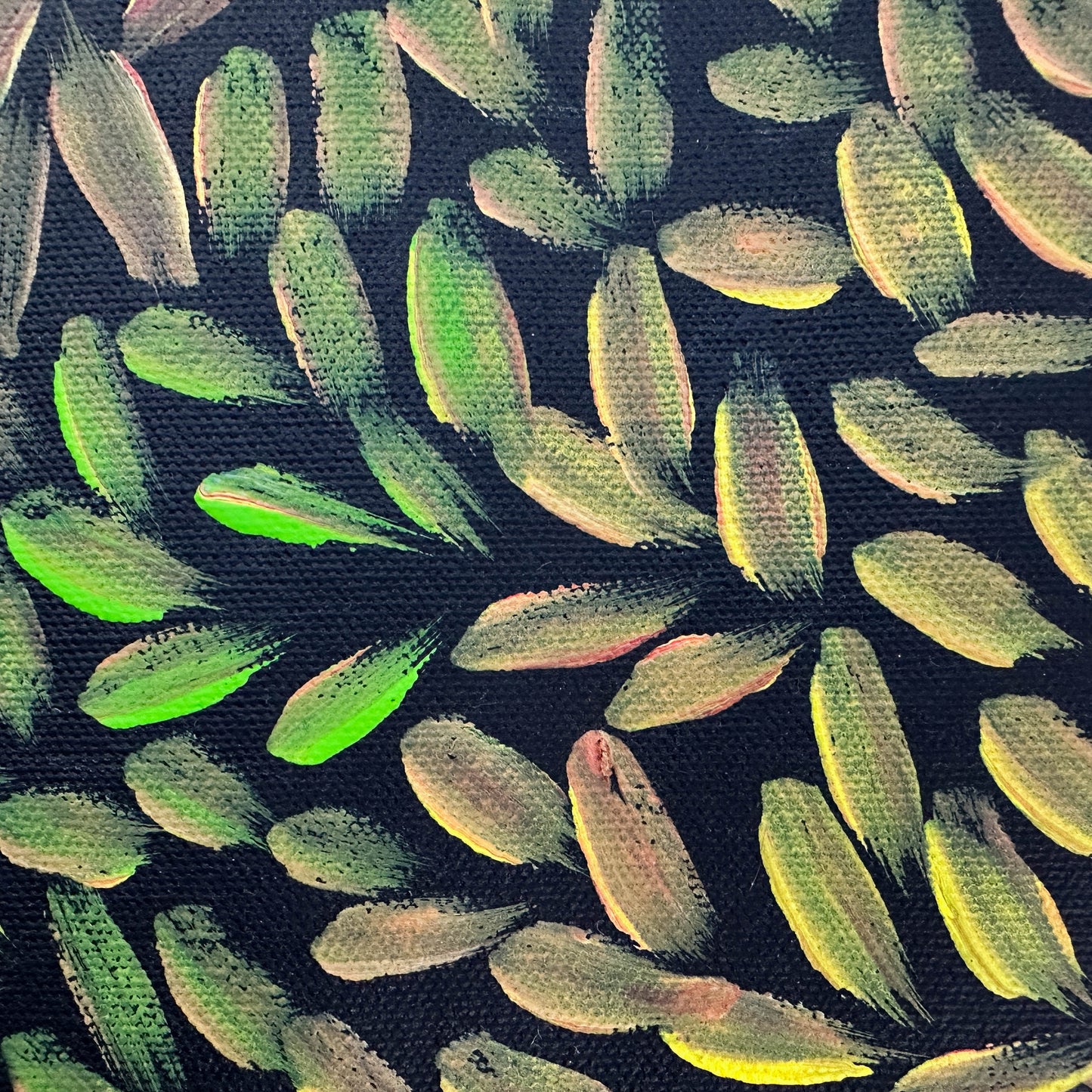 Margaret Scobie , Utopia, Indigenous art, Aboriginal Art, Australian Art, Bush Leaf Medicine, Altyerre Aboriginal Art, art, darwin gallery, indigenous painting for sale, aboriginal art for sale, Australian art for sale, 