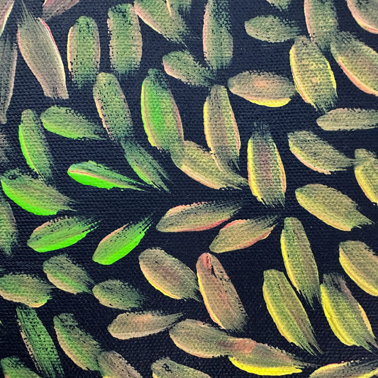 Margaret Scobie , Utopia, Indigenous art, Aboriginal Art, Australian Art, Bush Leaf Medicine, Altyerre Aboriginal Art, art, darwin gallery, indigenous painting for sale, aboriginal art for sale, Australian art for sale, 