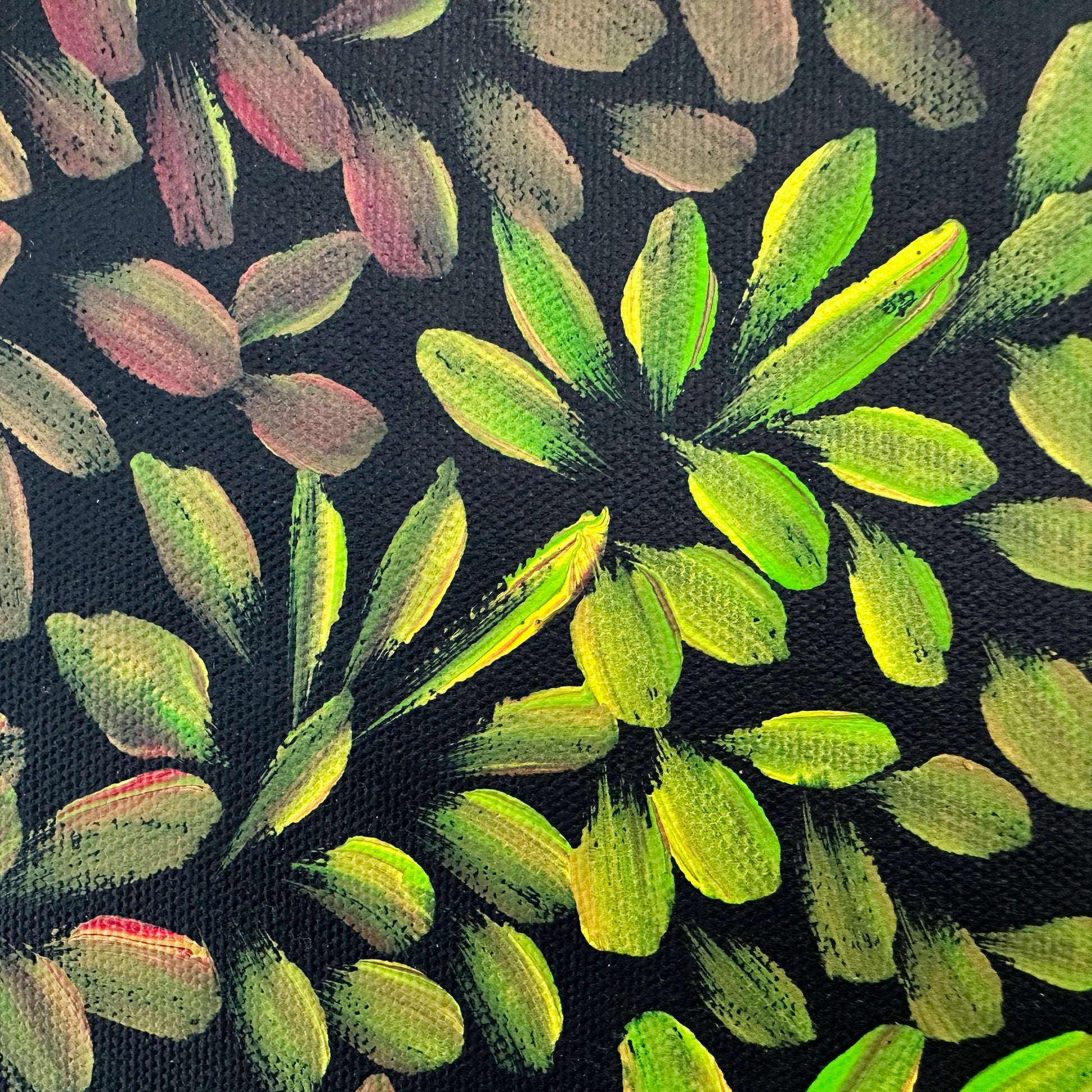 Margaret Scobie , Utopia, Indigenous art, Aboriginal Art, Australian Art, Bush Leaf Medicine, Altyerre Aboriginal Art, art, darwin gallery, indigenous painting for sale, aboriginal art for sale, Australian art for sale, 