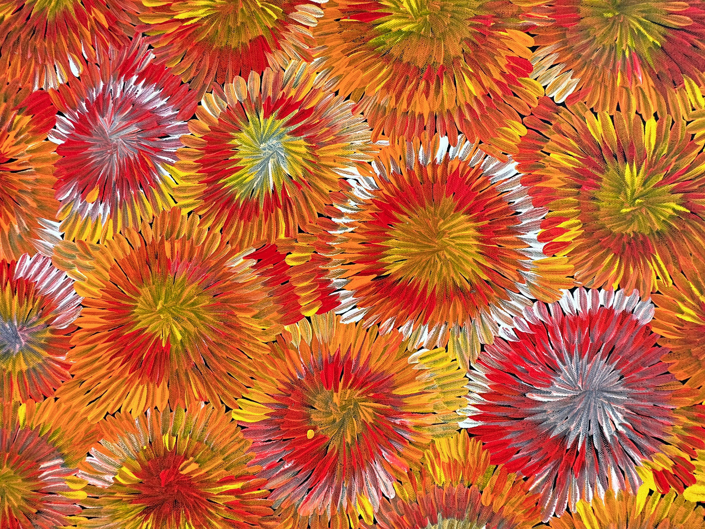Margaret Turner Petyarre + Utopia + Bush Medicine + Orange + Yellow + beautiful + artwork + painting + art for sale + artwork for sale + painting for sale + indigenous art + aboriginal art + australian art + darwin based gallery + 