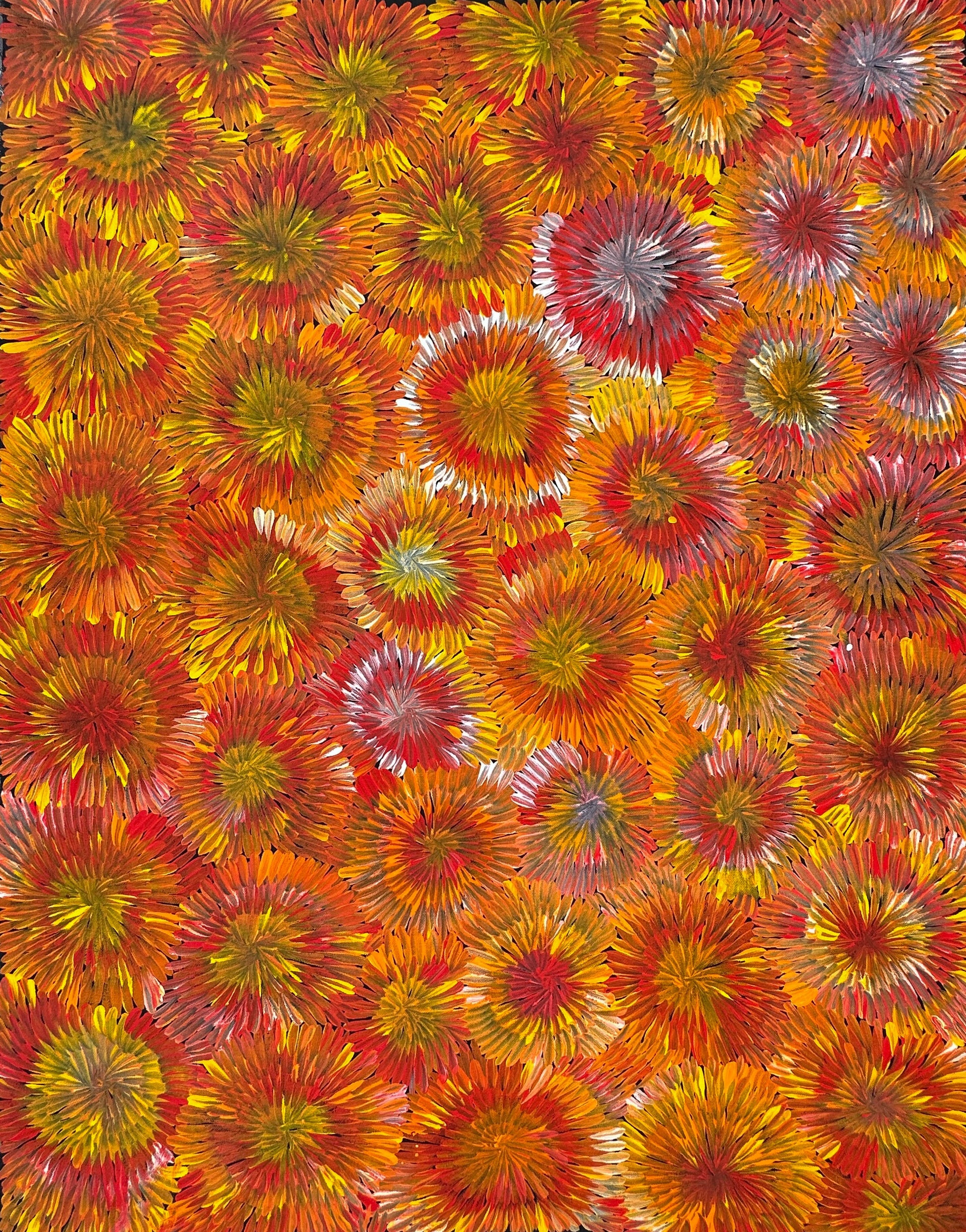 Margaret Turner Petyarre + Utopia + Bush Medicine + Orange + Yellow + beautiful + artwork + painting + art for sale + artwork for sale + painting for sale + indigenous art + aboriginal art + australian art + darwin based gallery + 