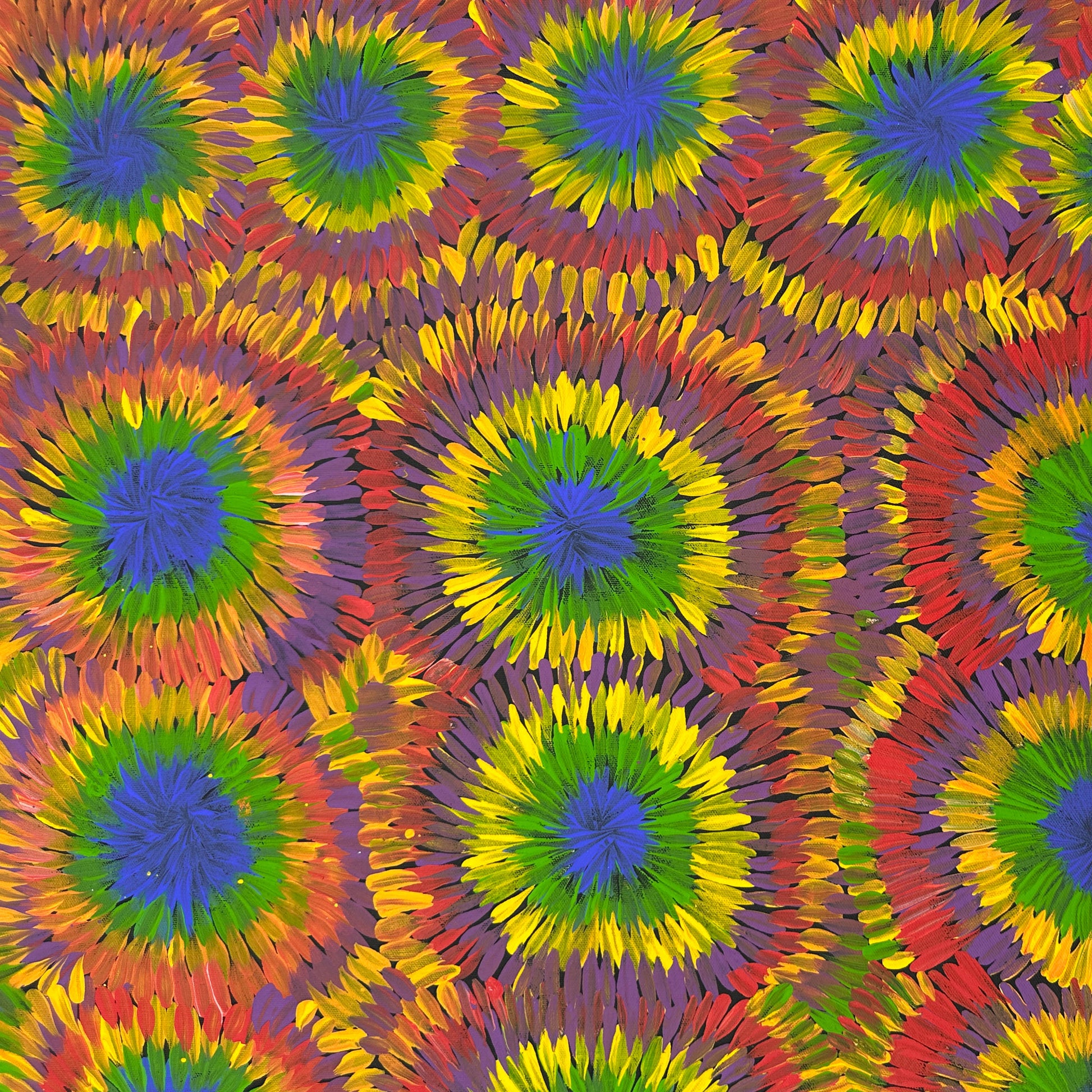 
#margaretturnerpetyarre #lakenash #northernterritory #australianartist #aboriginalartist #indigenousartist #art #artforsale #painting #paintinforsale #art #artforsale #painting #paintinforsale #bushmedicine #artstory #colour #colourful #interior #interiordesign #interiordecorate #darwin #artgallery #darwinartgallery #artstory #utopia #femaleartist #wallart #artist #beautifulart 
