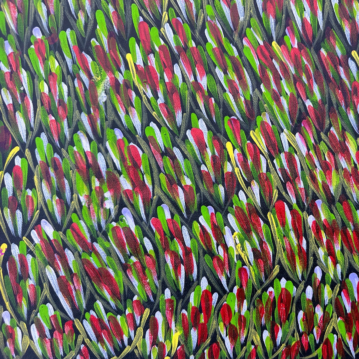 Margaret Turner Petyarre, Aboriginal art, Indigenous Art, Australian Art, Lake Nash, Northern Territory, Aboriginal Artist, art, art for sale , painting for sale, bush medicine, Darwin gallery, Altyerre Aboriginal Art, Original Art, Direct from the artist, ethical art, family business, interior decor, art gallery, wall art, bush medicine leaves, art décor, interior designer, beautiful art, colourful art, Interior design, Amatyerre, Outback Australia, Art collector, Office art, office artwork, Interior decor
