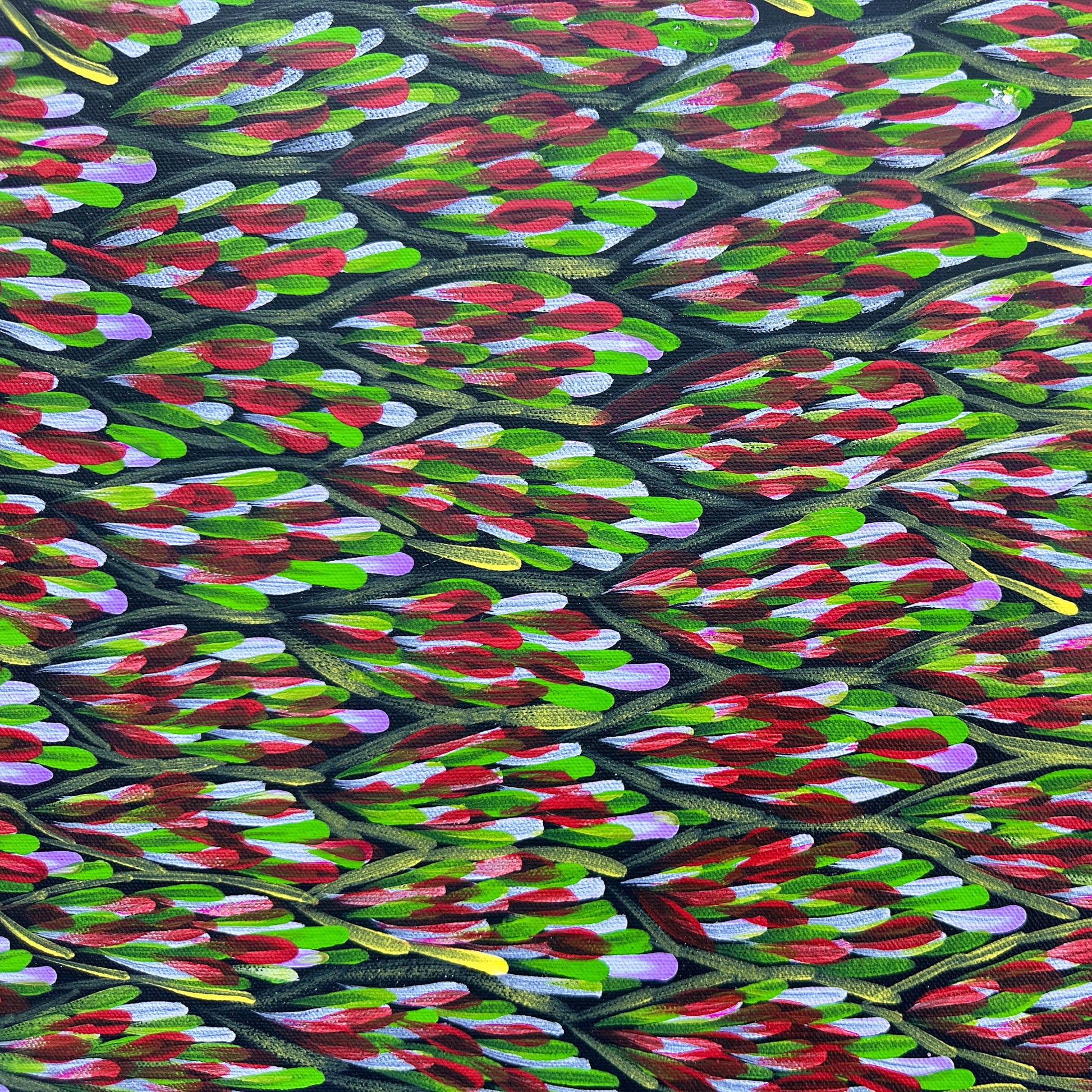 Margaret Turner Petyarre, Aboriginal art, Indigenous Art, Australian Art, Lake Nash, Northern Territory, Aboriginal Artist, art, art for sale , painting for sale, bush medicine, Darwin gallery, Altyerre Aboriginal Art, Original Art, Direct from the artist, ethical art, family business, interior decor, art gallery, wall art, bush medicine leaves, art décor, interior designer, beautiful art, colourful art, Interior design, Amatyerre, Outback Australia, Art collector, Office art, office artwork, Interior decor