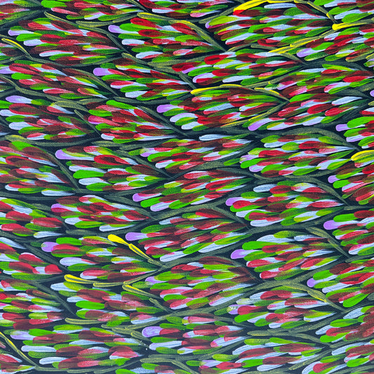 #margaretturnerpetyarre #lakenash #northernterritory #australianartist #aboriginalartist #indigenousartist #art #artforsale #painting #paintinforsale #art #artforsale #painting #paintinforsale #bushmedicine #artstory #colour #colourful #interior #interiordesign #interiordecorate #darwin #artgallery #darwinartgallery #artstory #femaleartist #wallart #artist #beautifulart #altyerre #altyerreaboriginalart #northernterritory #outback #bushmedicineleaves #darwingallery #artdecor #interiordecor #wallart #interior