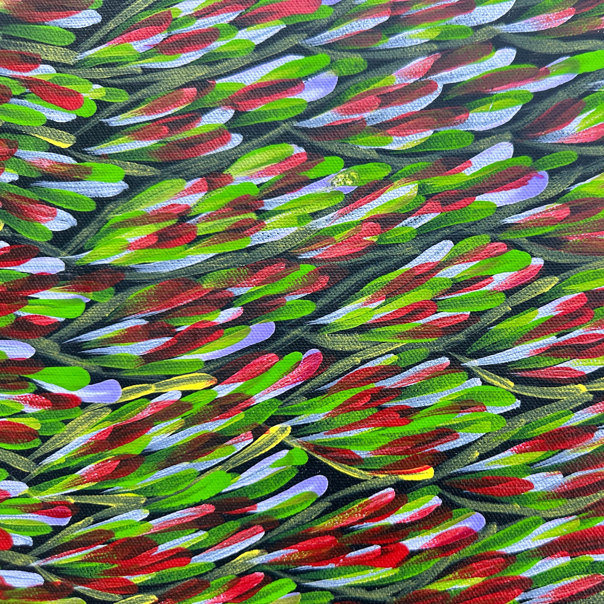 Margaret Turner Petyarre, Aboriginal art, Indigenous Art, Australian Art, Lake Nash, Northern Territory, Aboriginal Artist, art, art for sale , painting for sale, bush medicine, Darwin gallery, Altyerre Aboriginal Art, Original Art, Direct from the artist, ethical art, family business, interior decor, art gallery, wall art, bush medicine leaves, art décor, interior designer, beautiful art, colourful art, Interior design, Amatyerre, Outback Australia, Art collector, Office art, office artwork, Interior decor